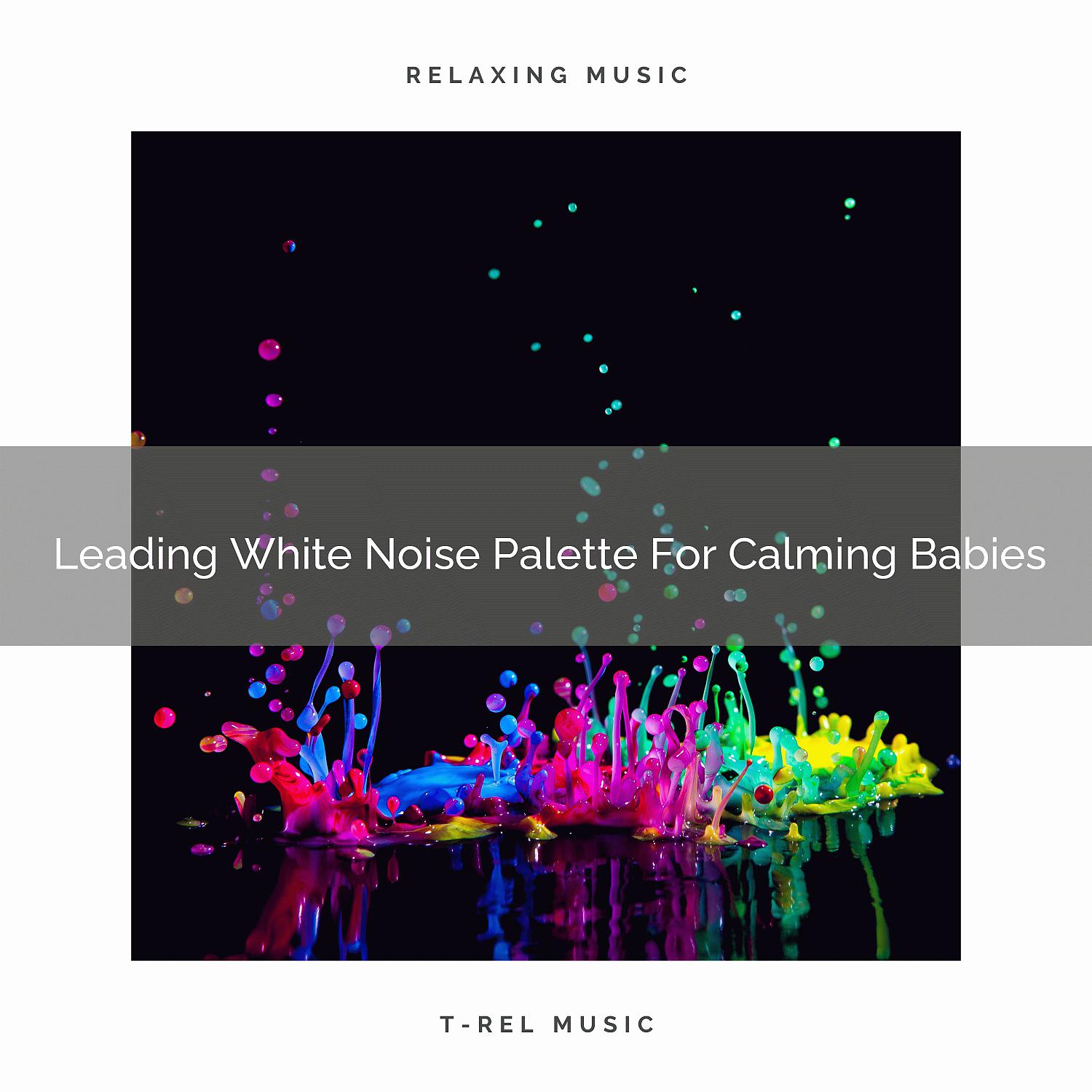 Постер альбома Leading White Noise Palette For Calming Babies