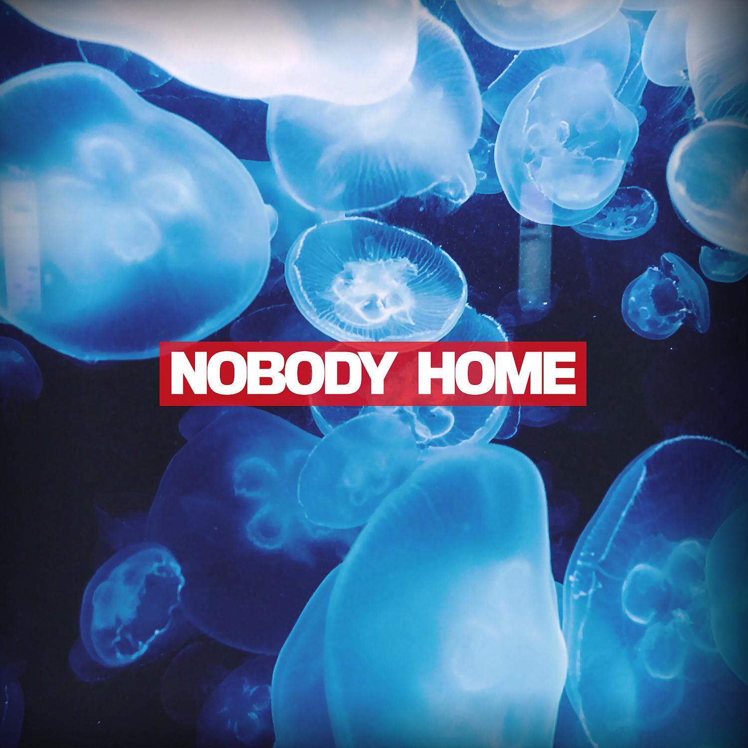 Постер альбома Nobody Home (feat. Cleva Thoughts)