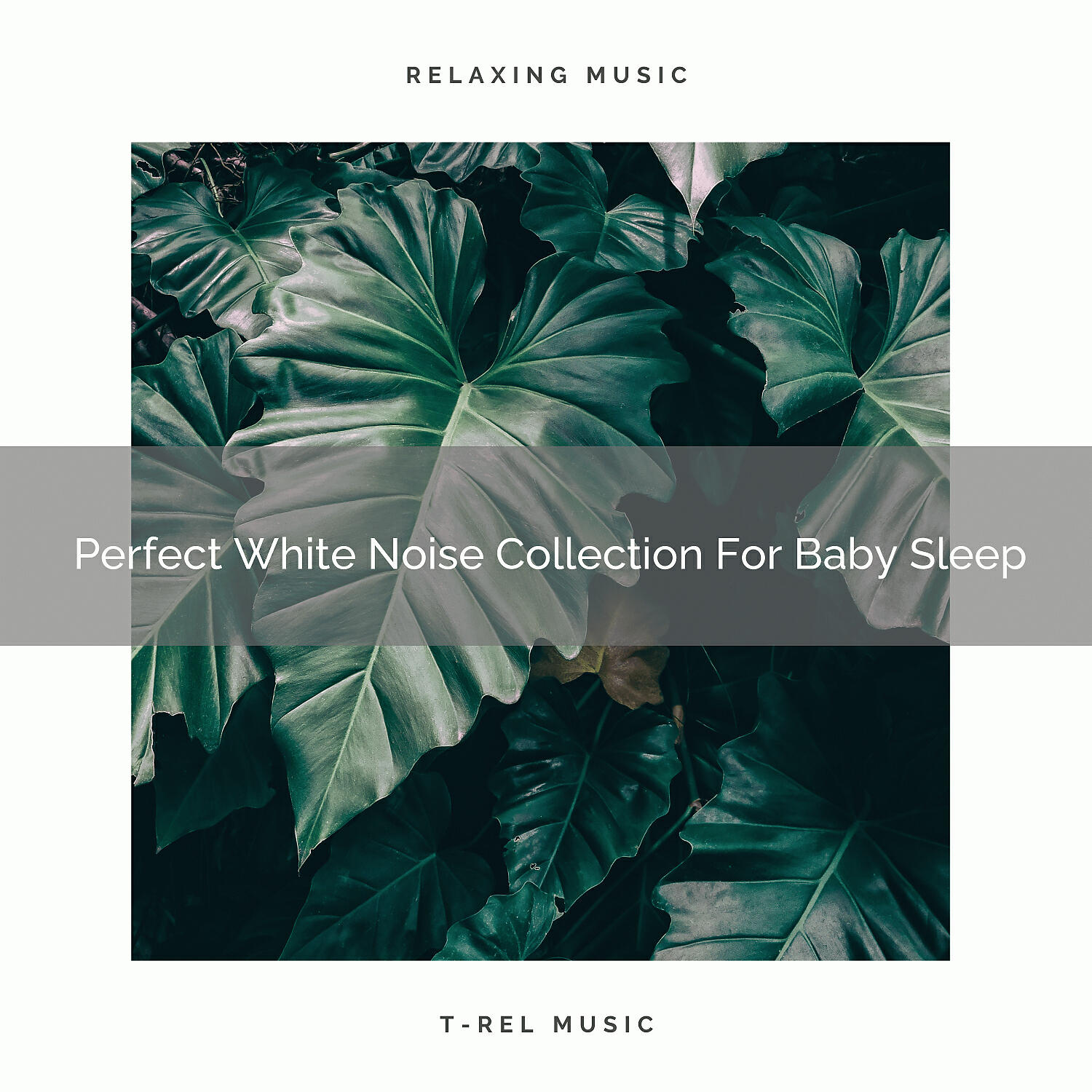 Chill Relajente - Fresh Noise For Your Pleasure And Kickstart