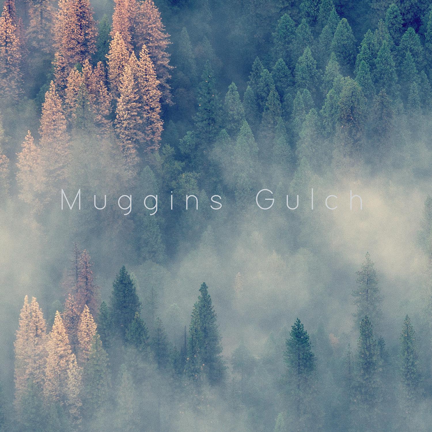 Постер альбома Muggins Gulch