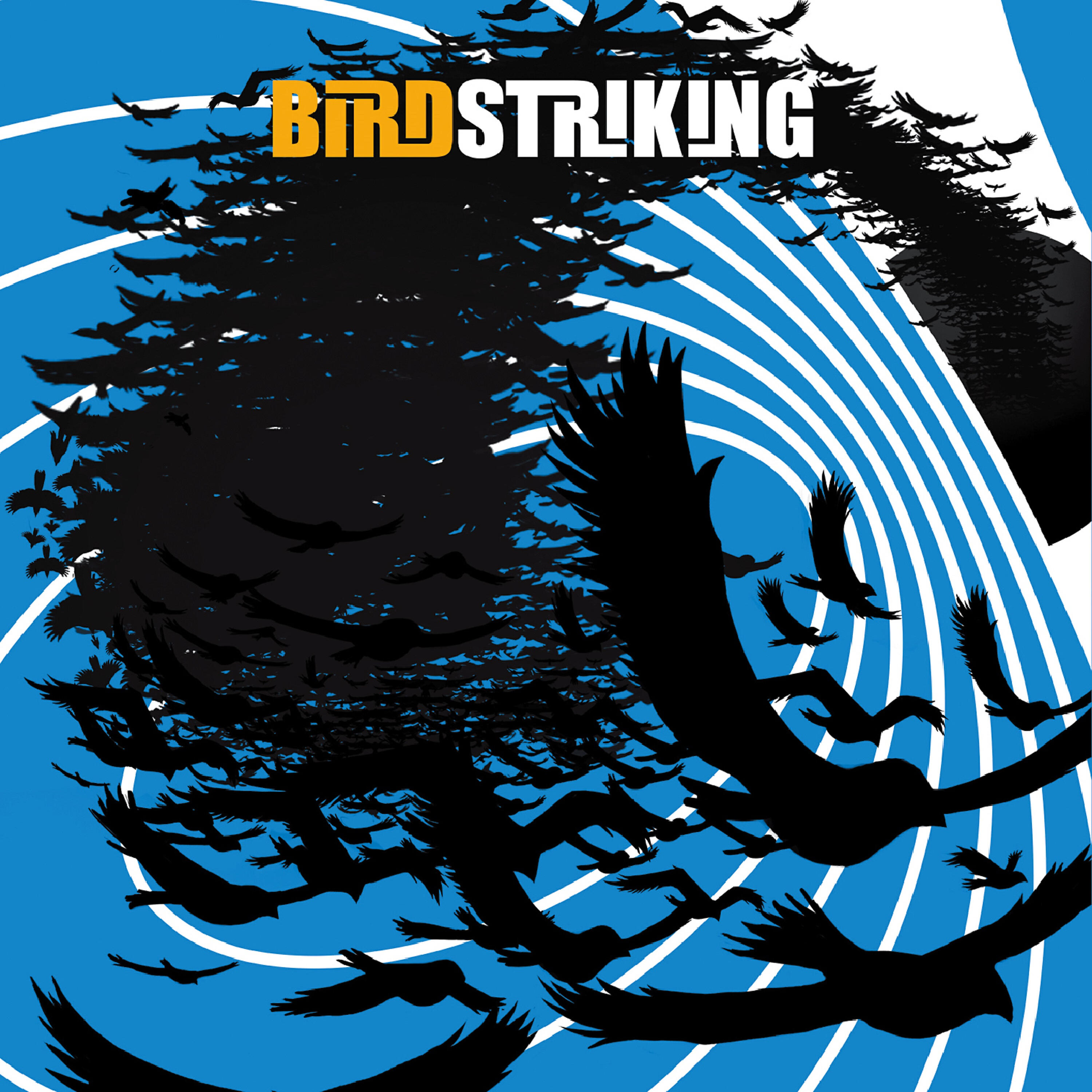 Birdstriking - Space Hakka