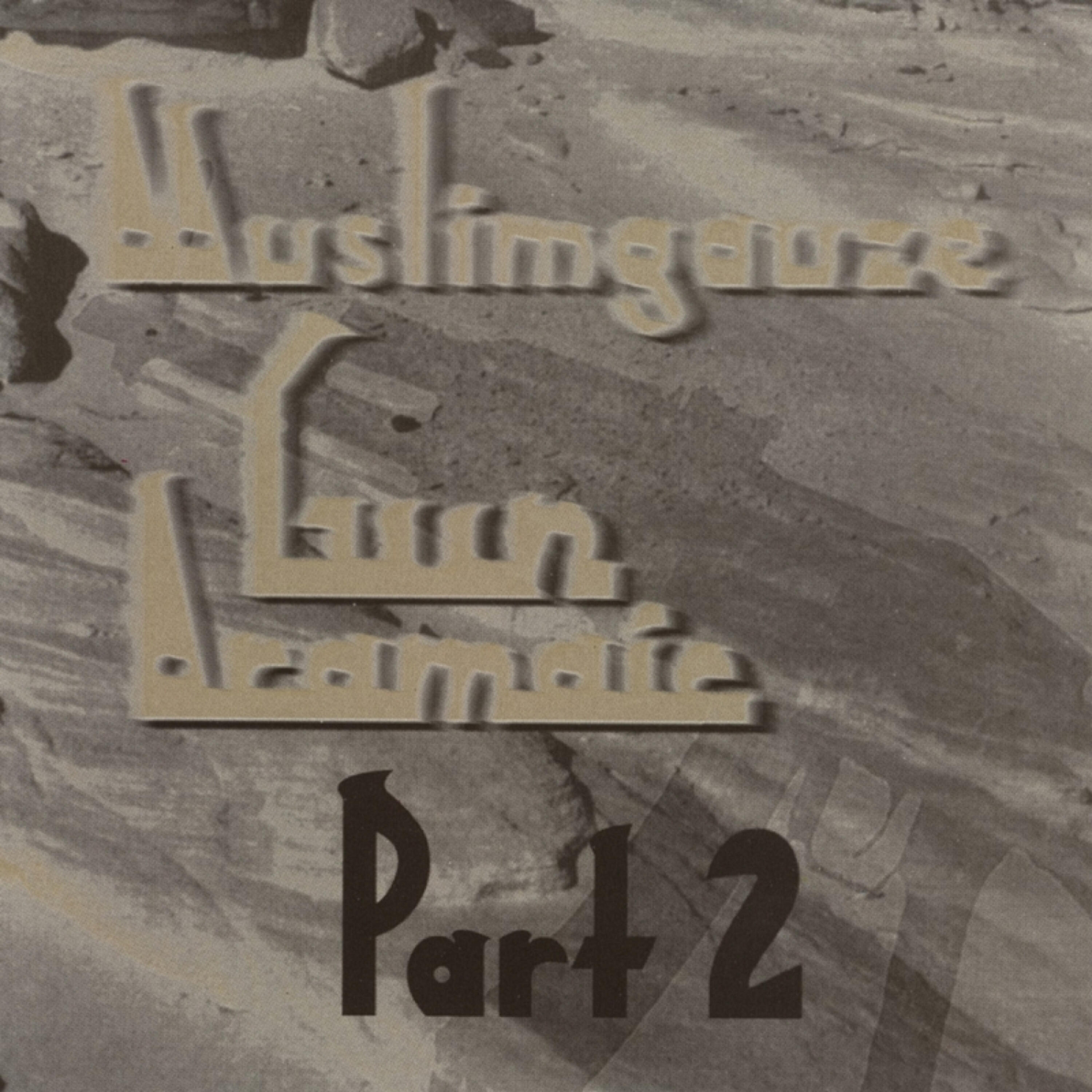 Muslimgauze - Saladin Mercy