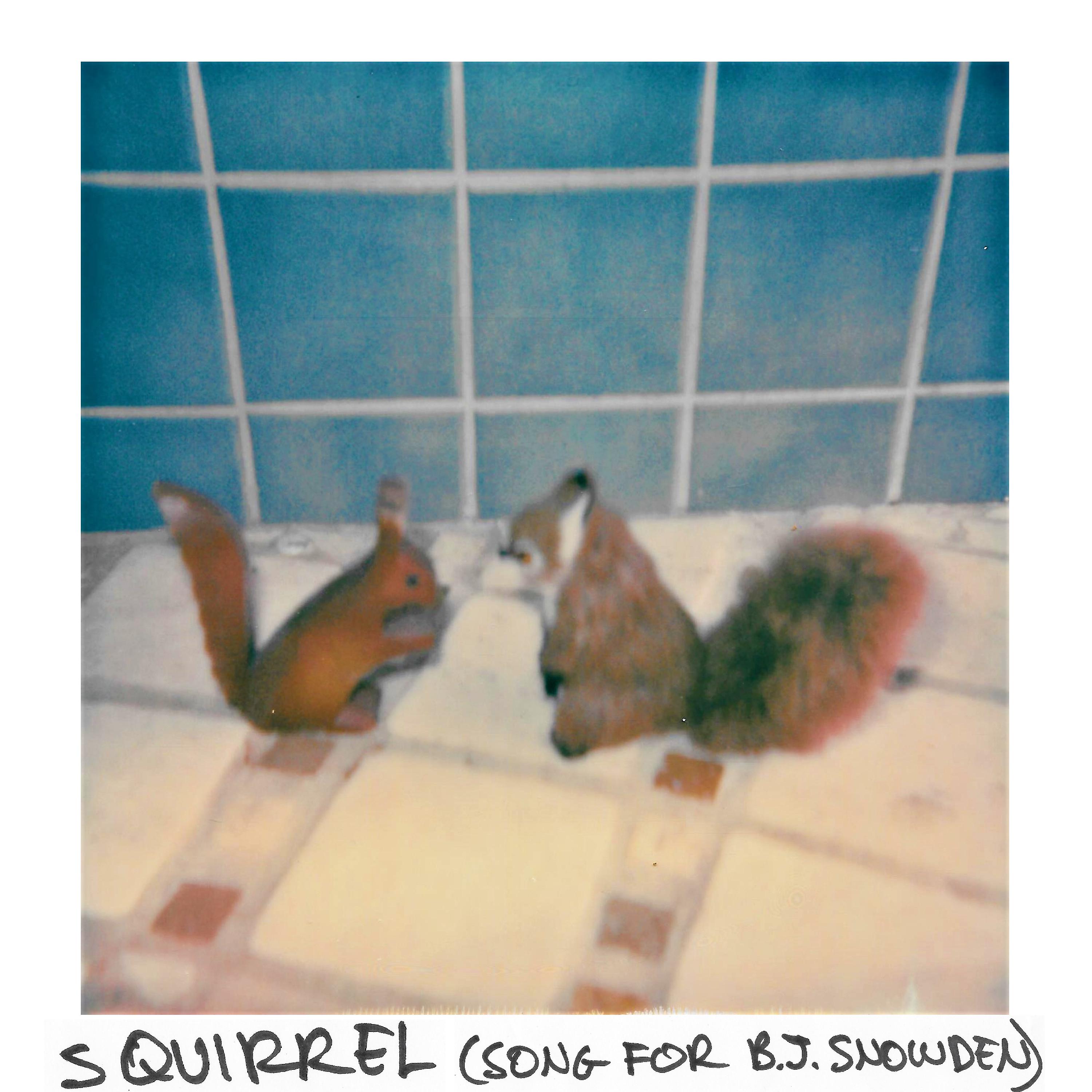 Постер альбома Squirrel (Song for B.J. Snowden)