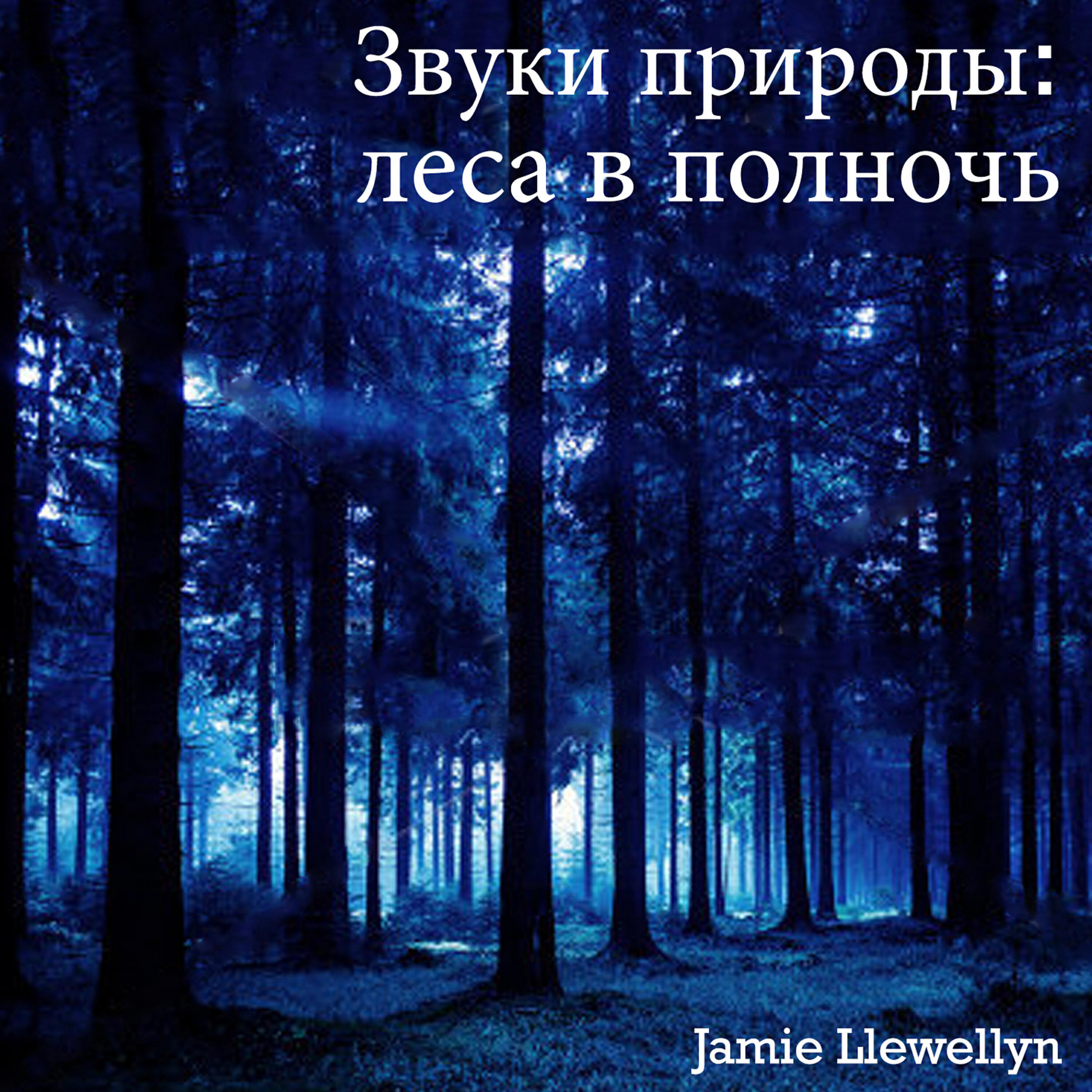 Jamie Llewellyn - Звуки природы: леса в полночь