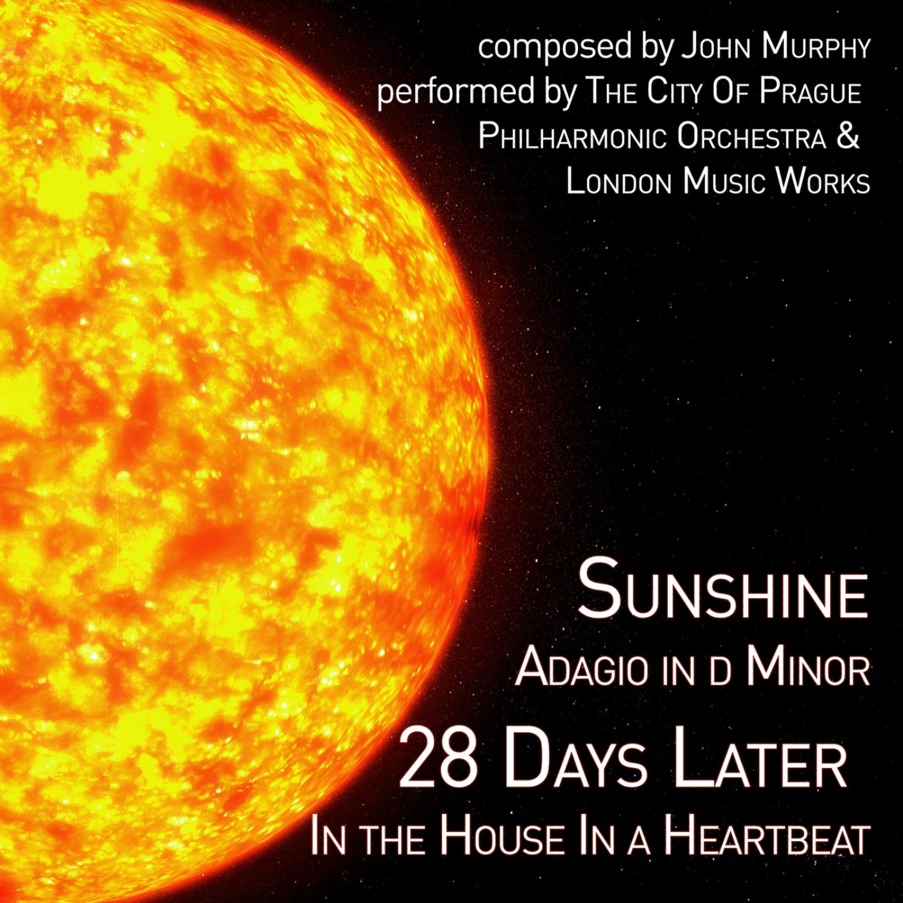 Постер альбома Music from Sunshine & 28 Days Later