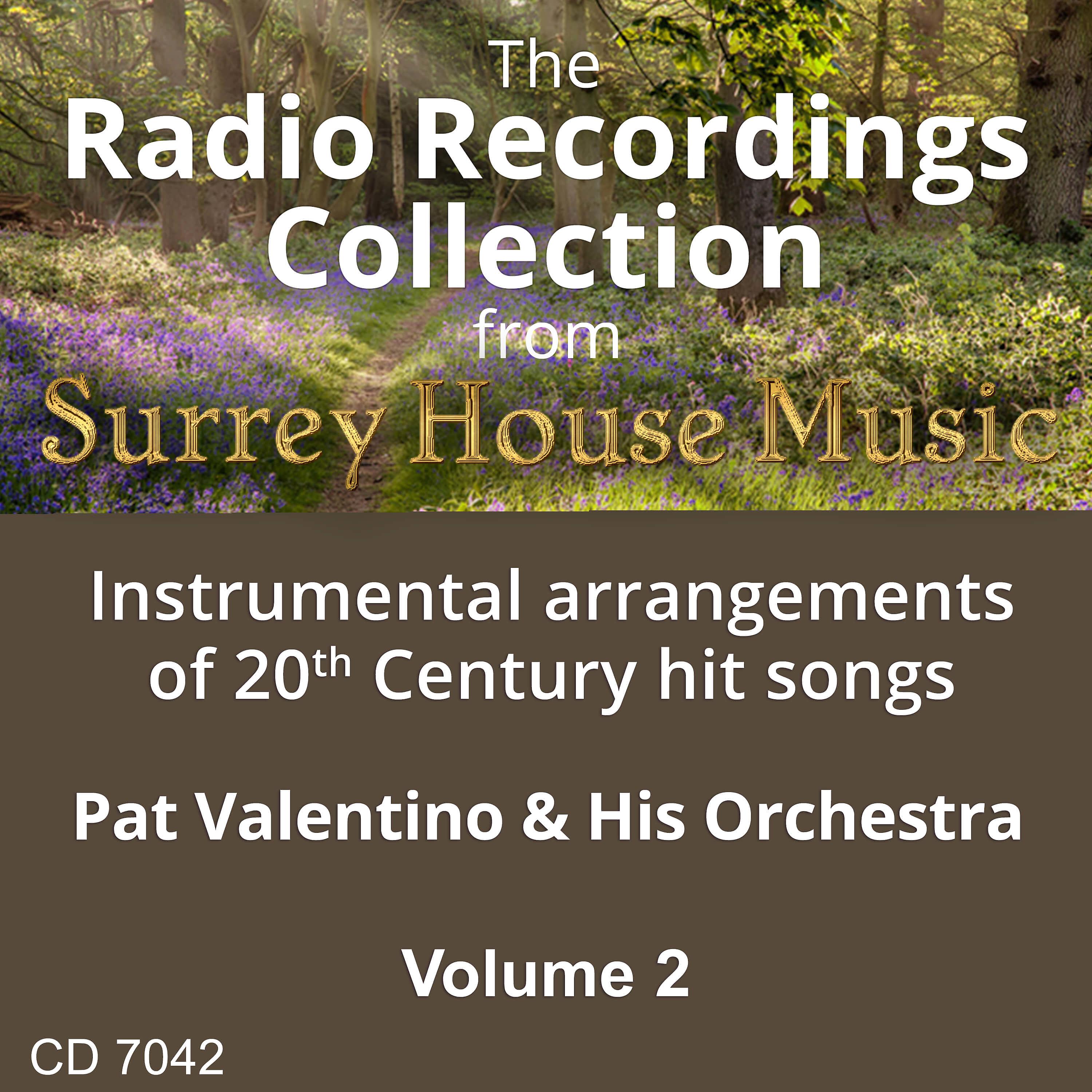 Постер альбома Pat Valentino & His Orchestra, Vol. 2