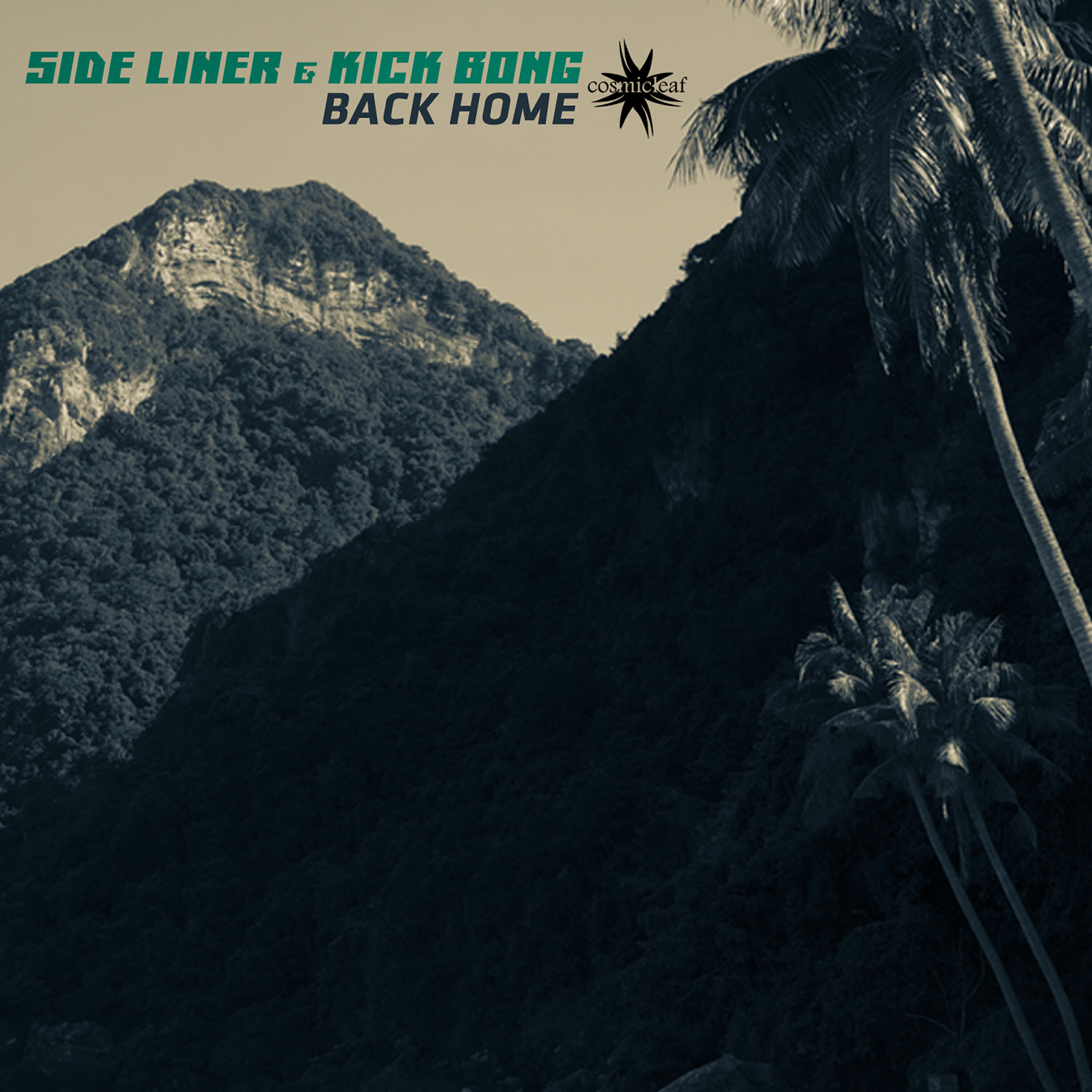 Side Liner - Minimanimal
