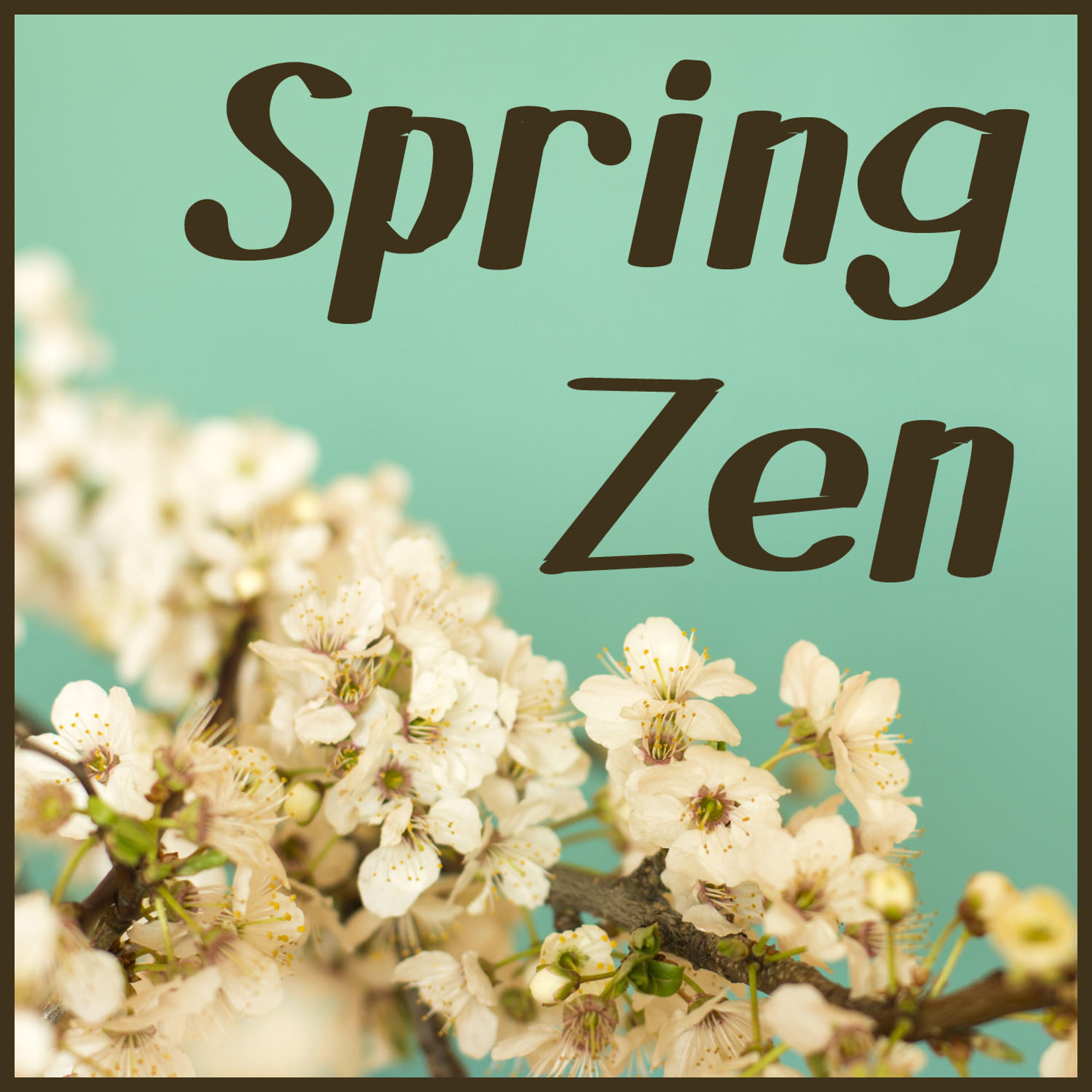 Постер альбома Spring Zen: Meditation Music for New Beginnings