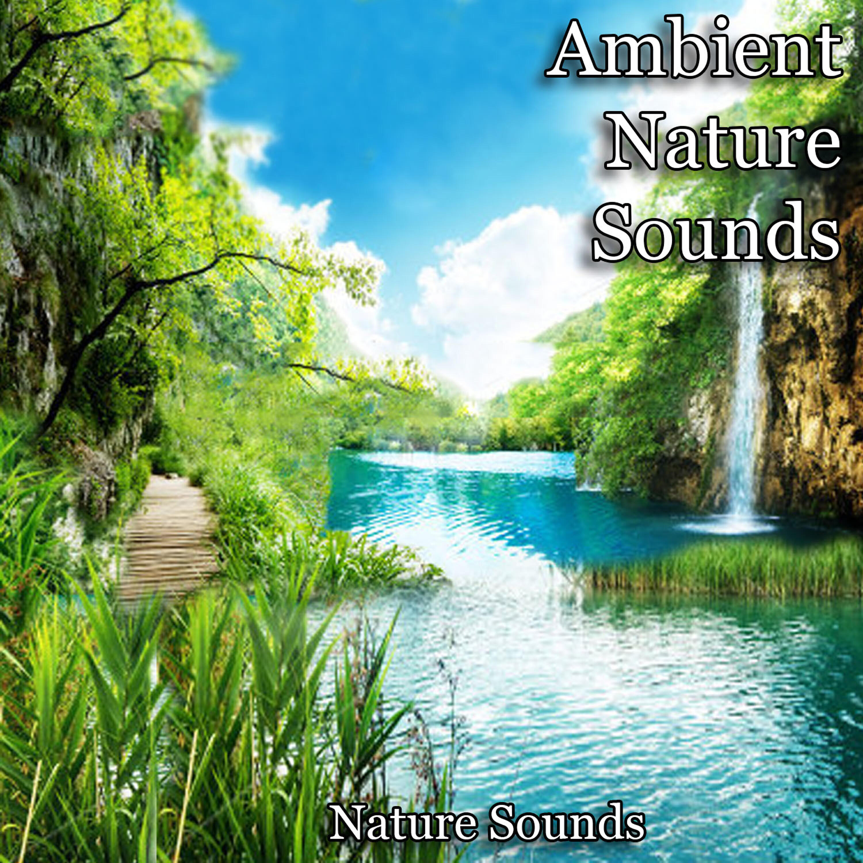 Nature Sounds - Tibetan Healing Sounds and Singing Bowls