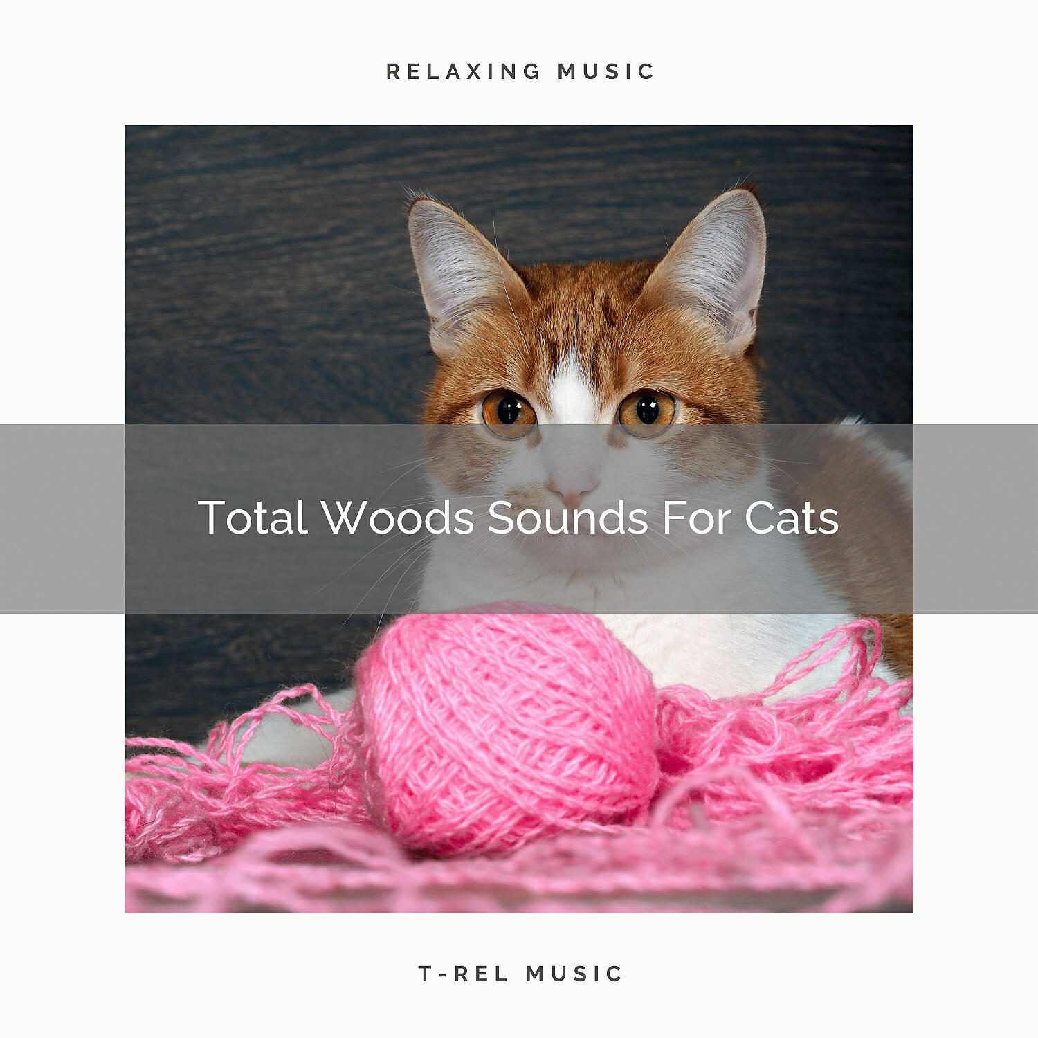 Cats Music Cradle - Total Weather Sounds For Your Dear Cats