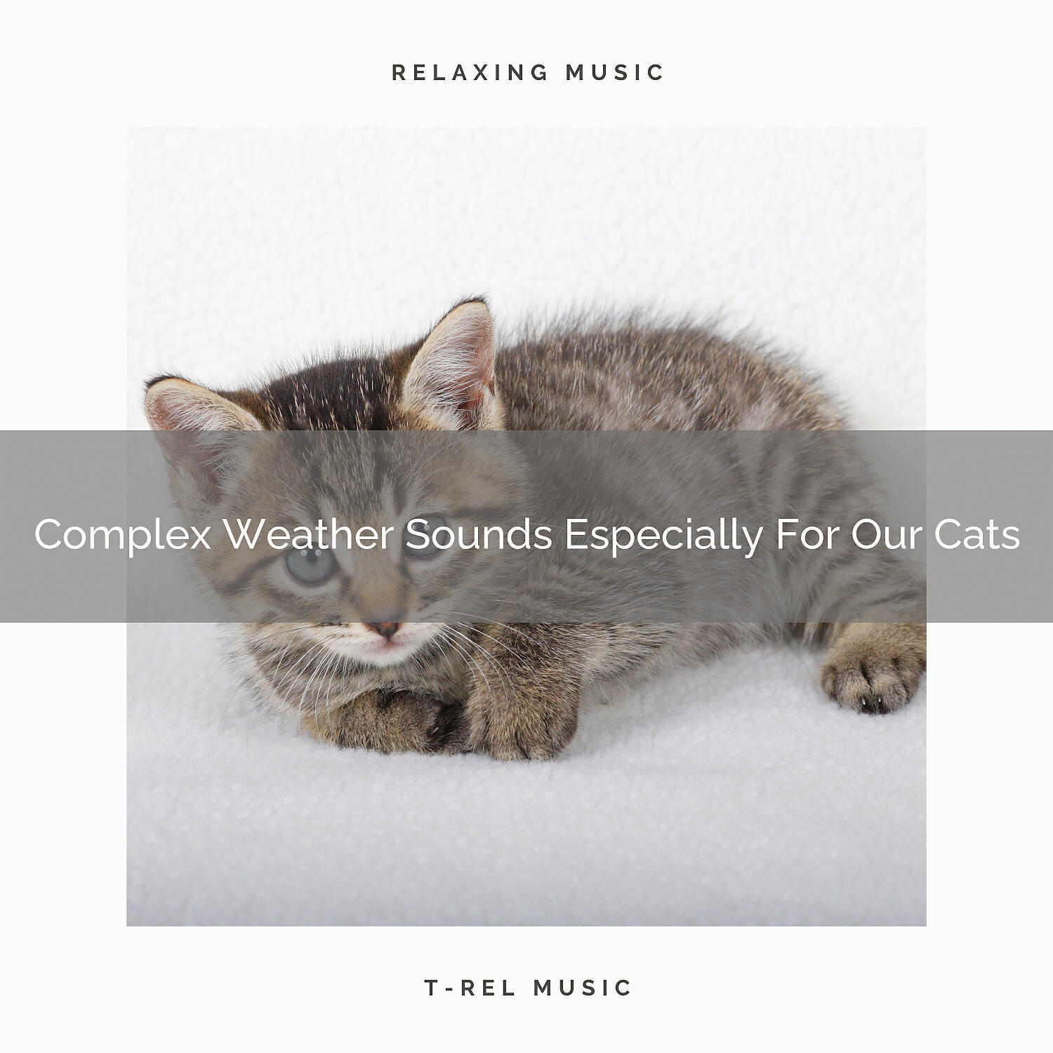 Cats Music Cradle - Total Wind Whispers Especially For Your Dear Cats