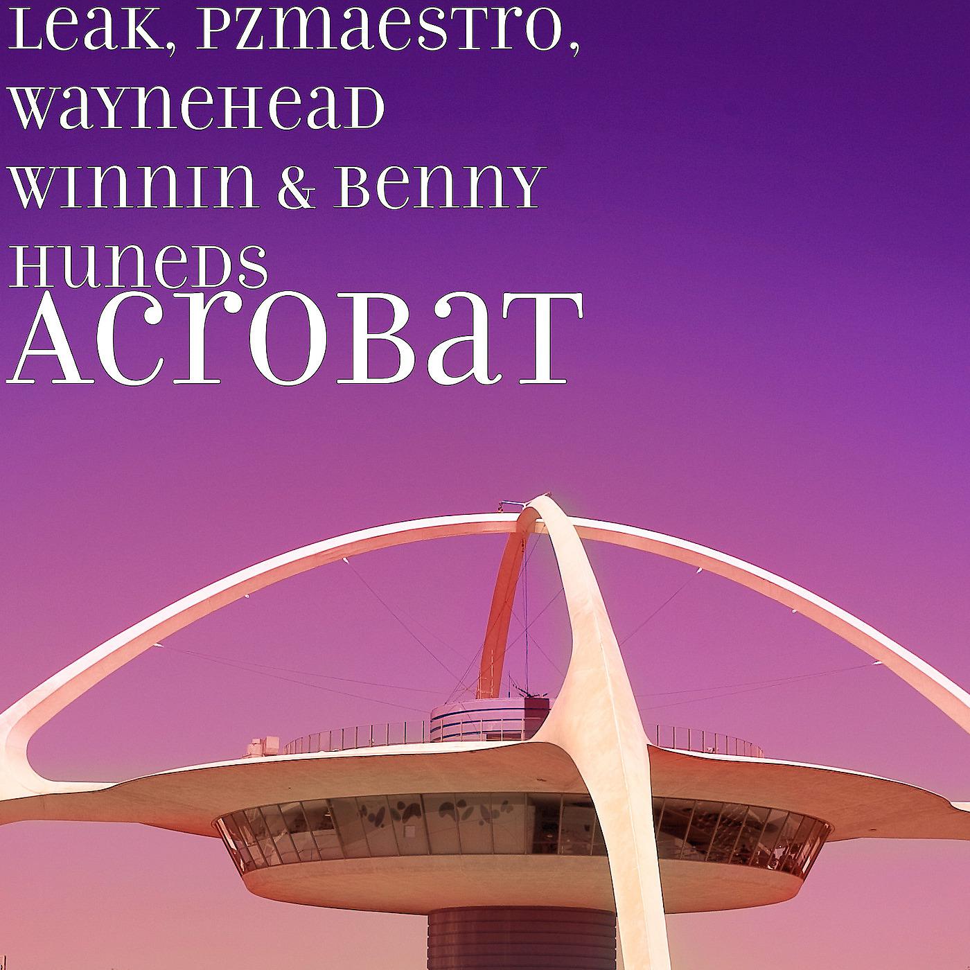Постер альбома Acrobat