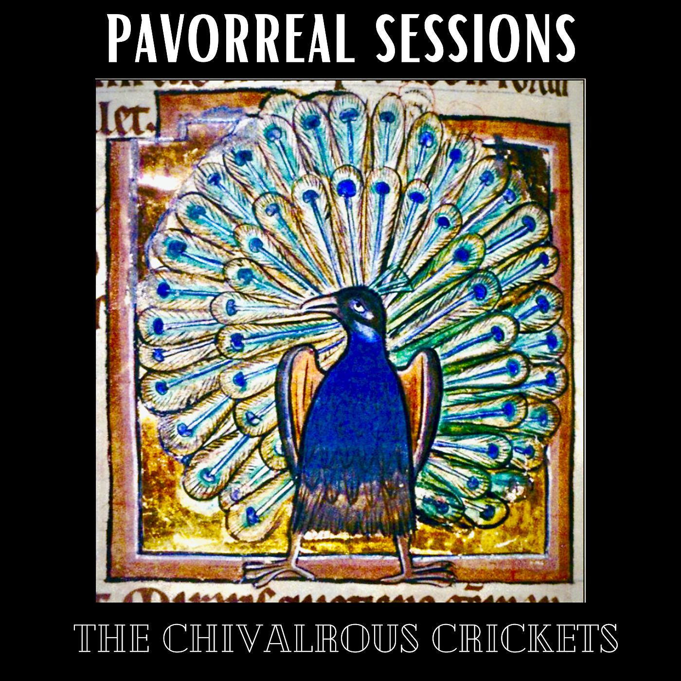 Постер альбома Pavorreal Sessions