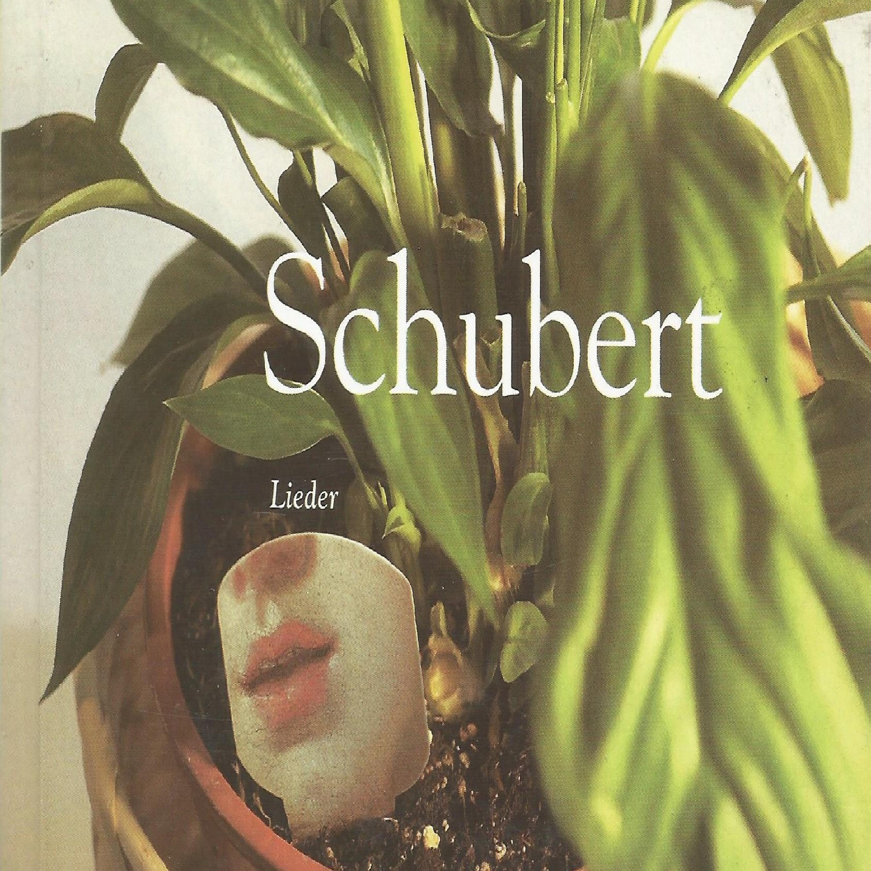 Постер альбома Schubert - Lieder