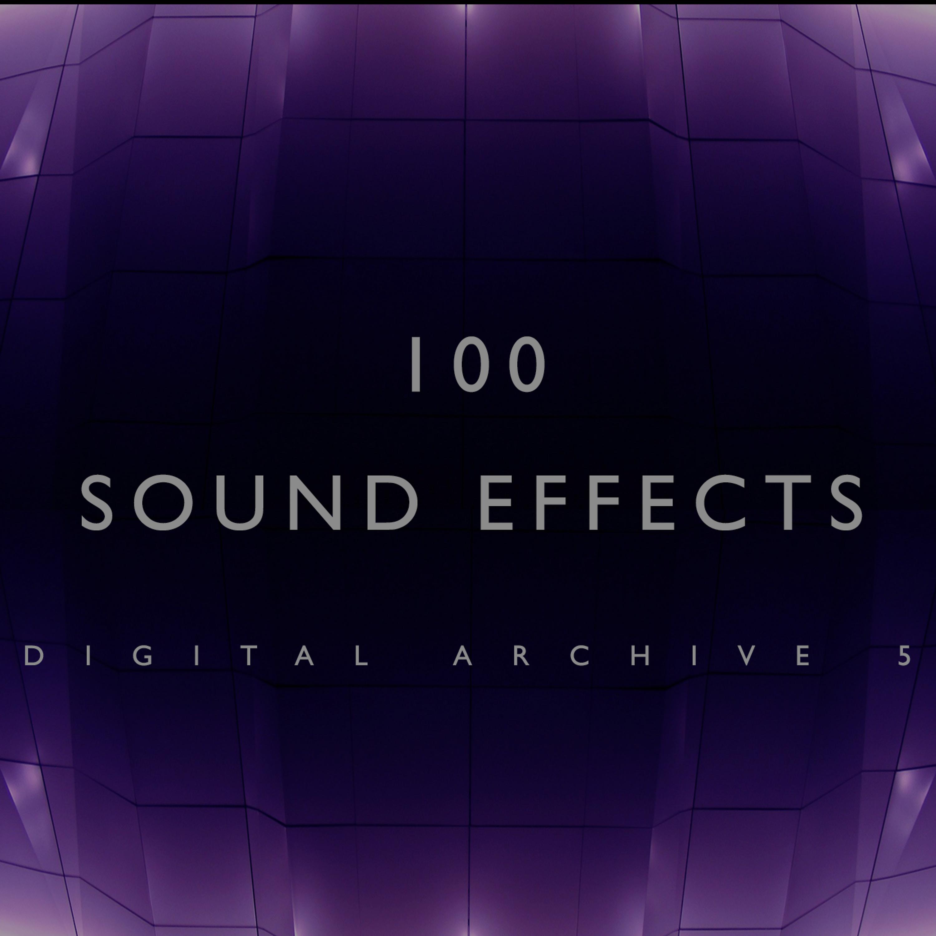 The Digital Sound Effects Group - Cray Cray Sound Effect 2