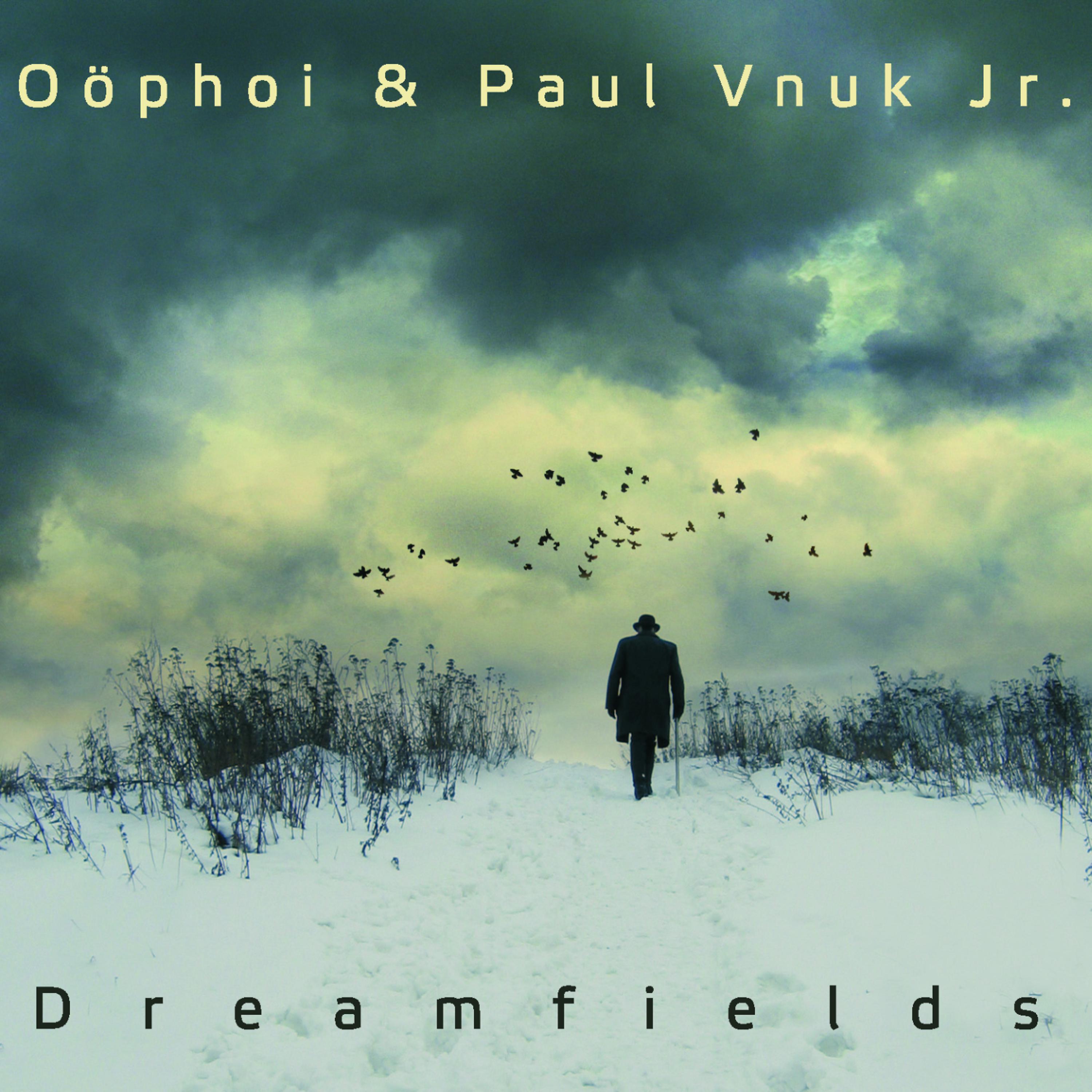 Постер альбома Dreamfields