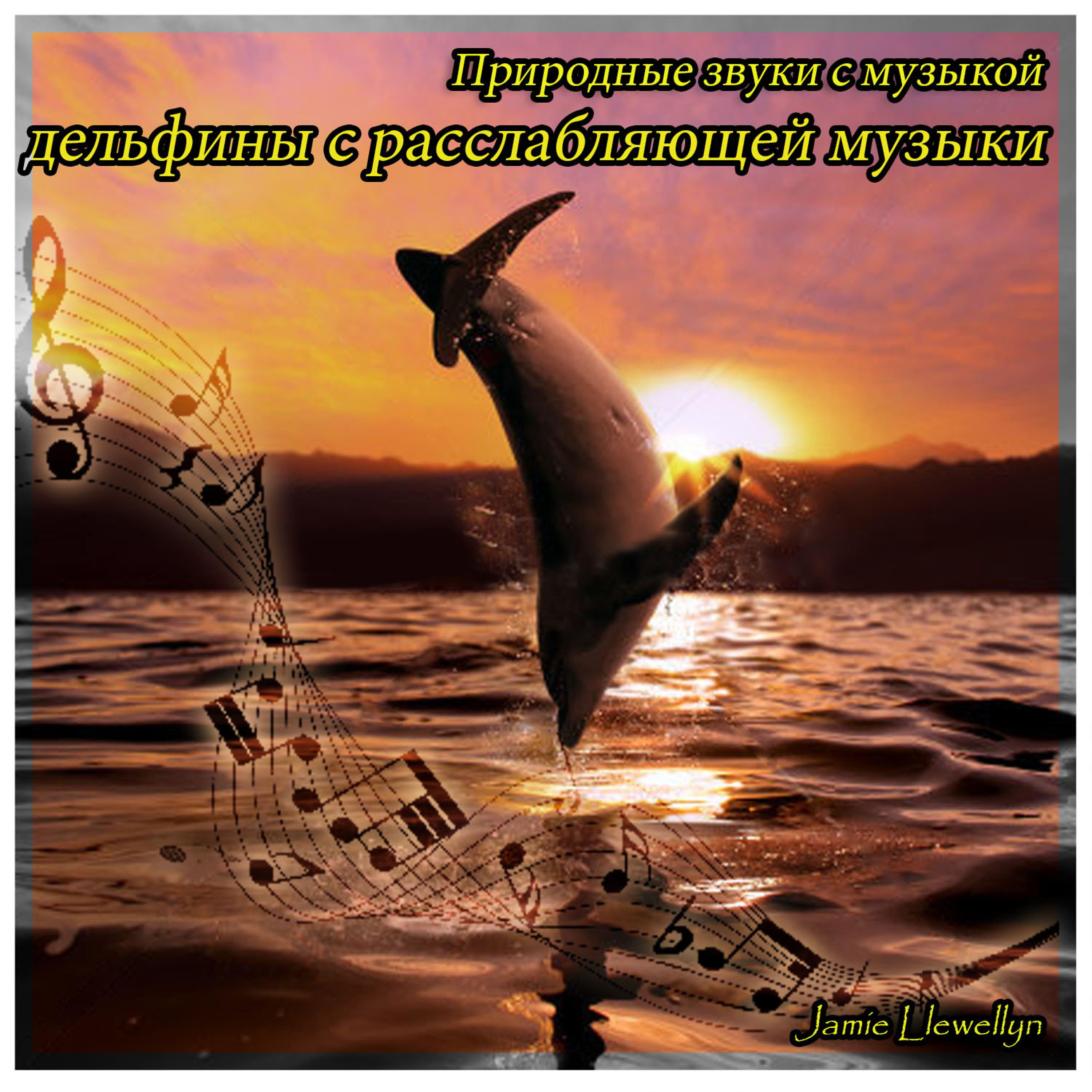 Постер альбома Природные звуки с музыкой: дельфины с расслабляющей музыки