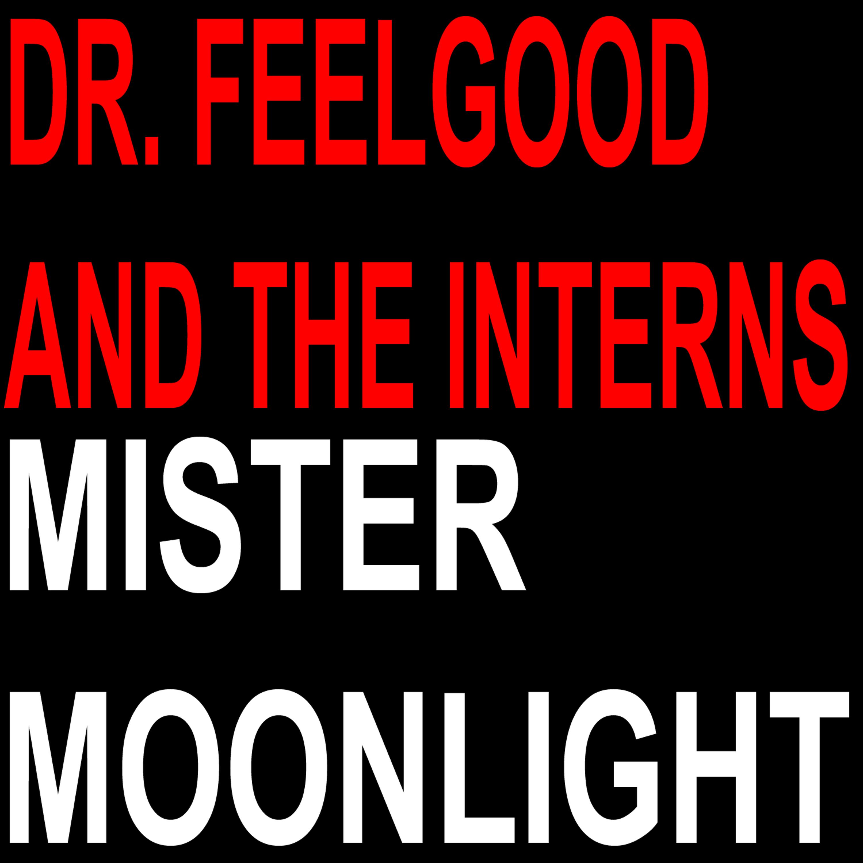 Постер альбома Mister Moonlight