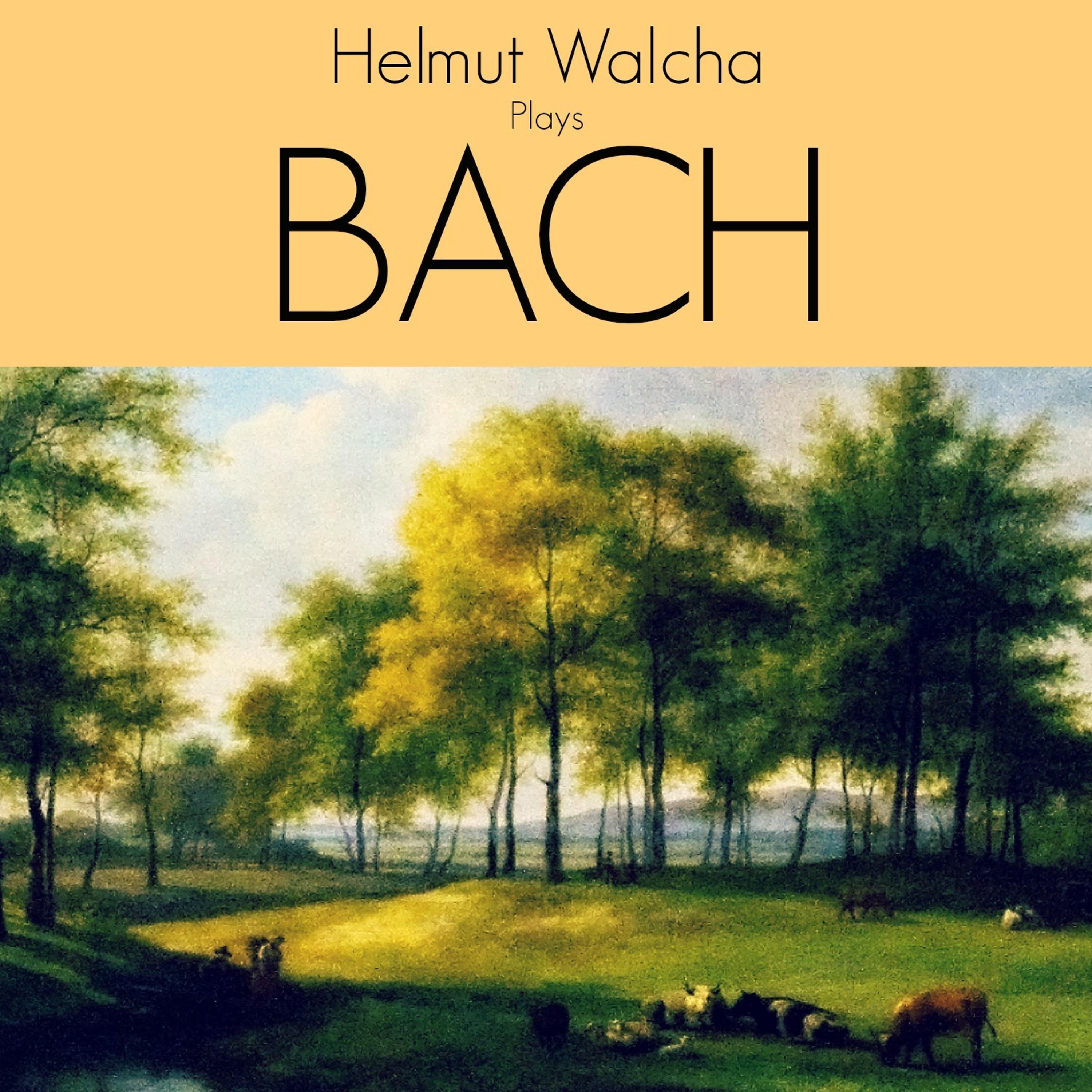 Постер альбома Helmut Walcha Plays Bach