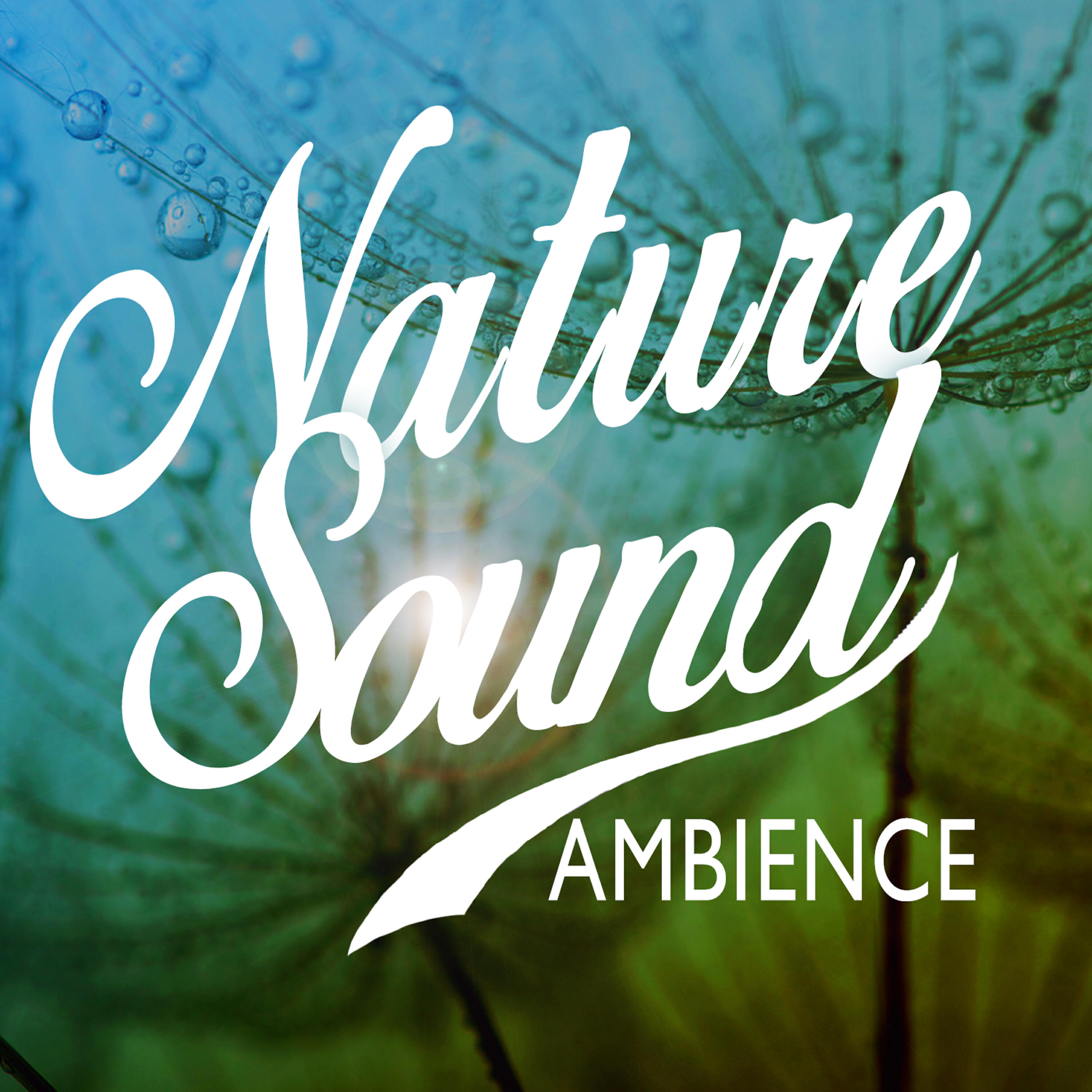 Nature Sound Ambience - Riverside Birdsong