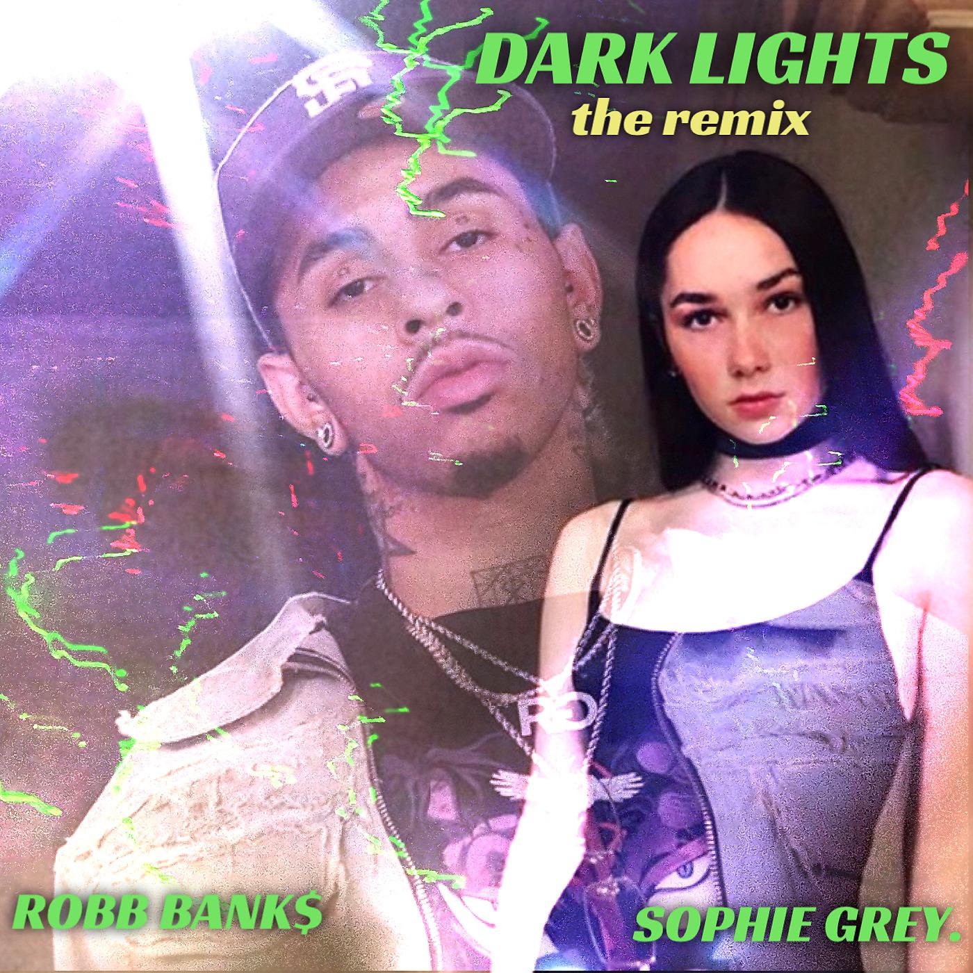 Постер альбома Dark Lights (The Remix)
