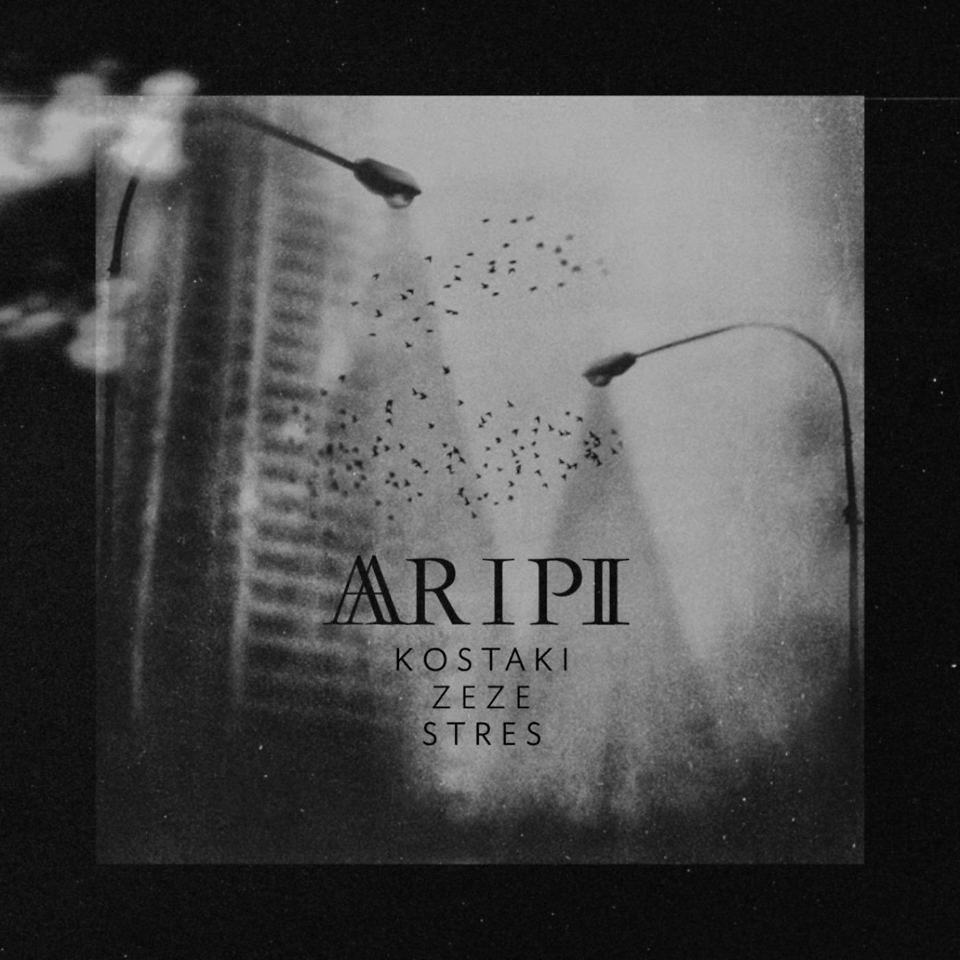 Постер альбома Aripi