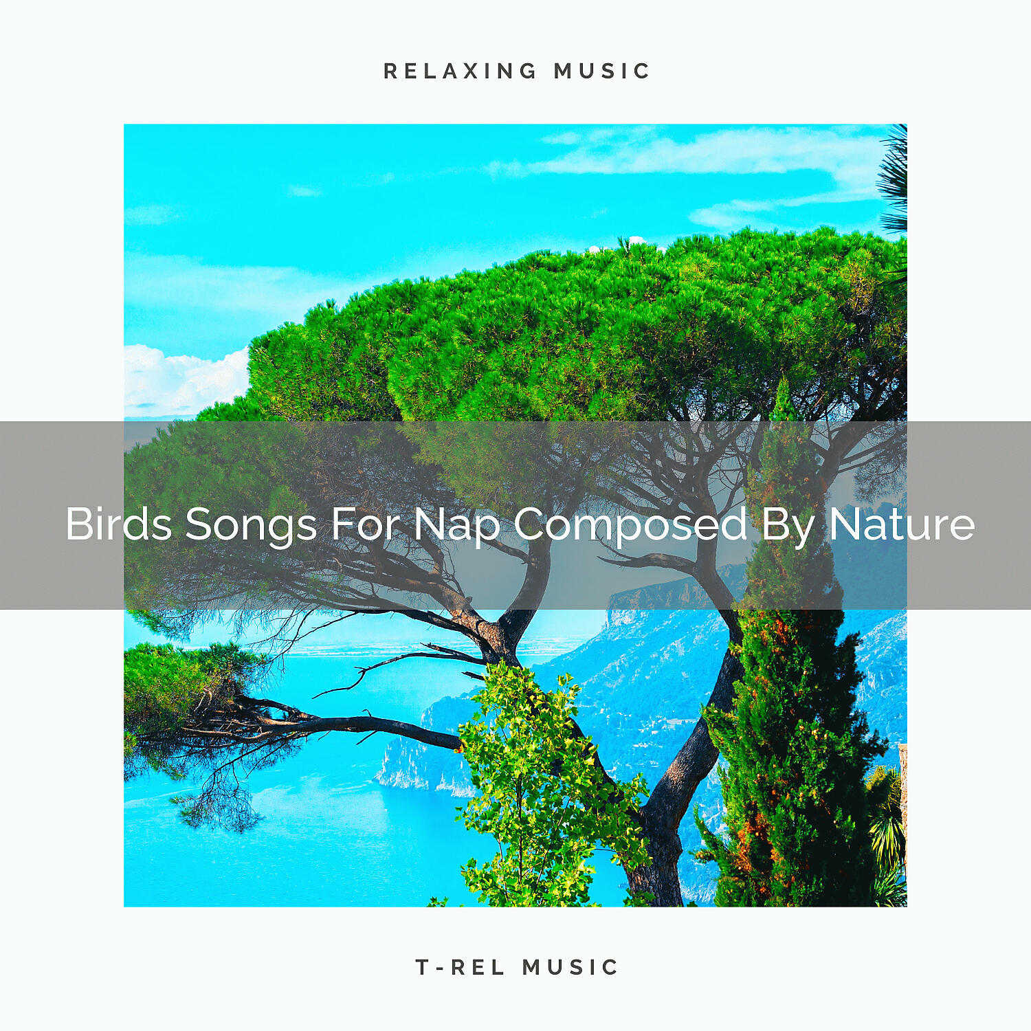 Nature Music Nature Songs - Sea With Bird Tweets, Wild River And Sounds Of Wilderness