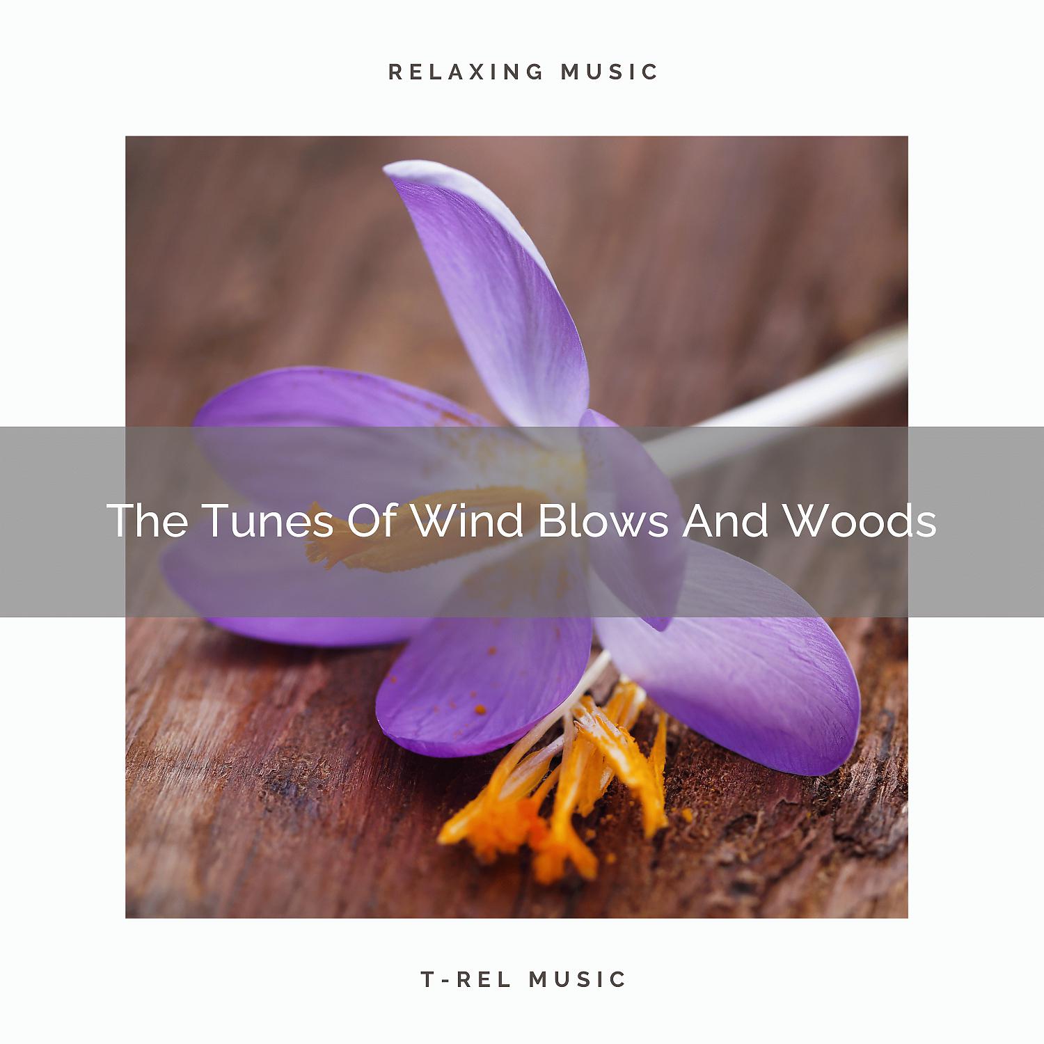 Постер альбома The Tunes Of Wind Blows And Woods