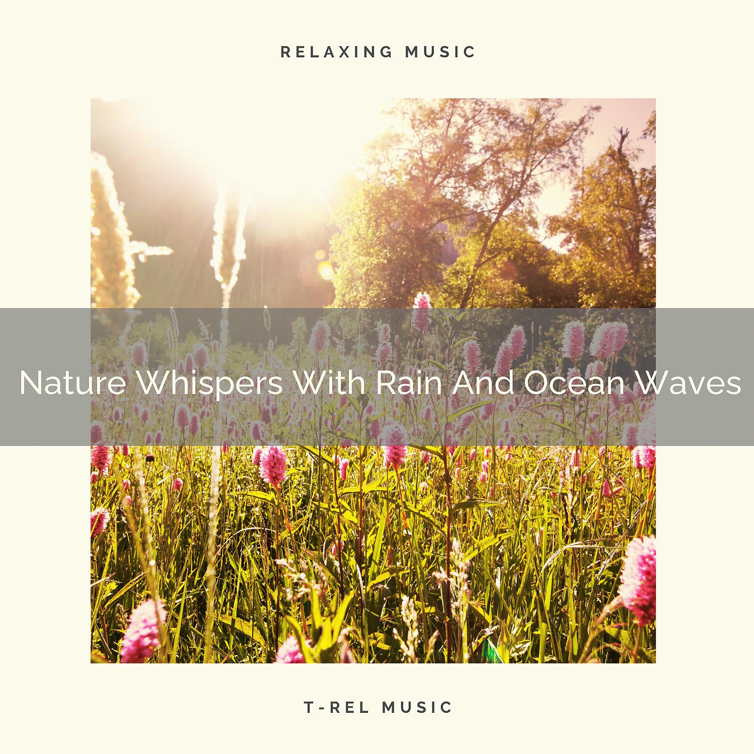 Постер альбома Nature Whispers With Rain And Ocean Waves