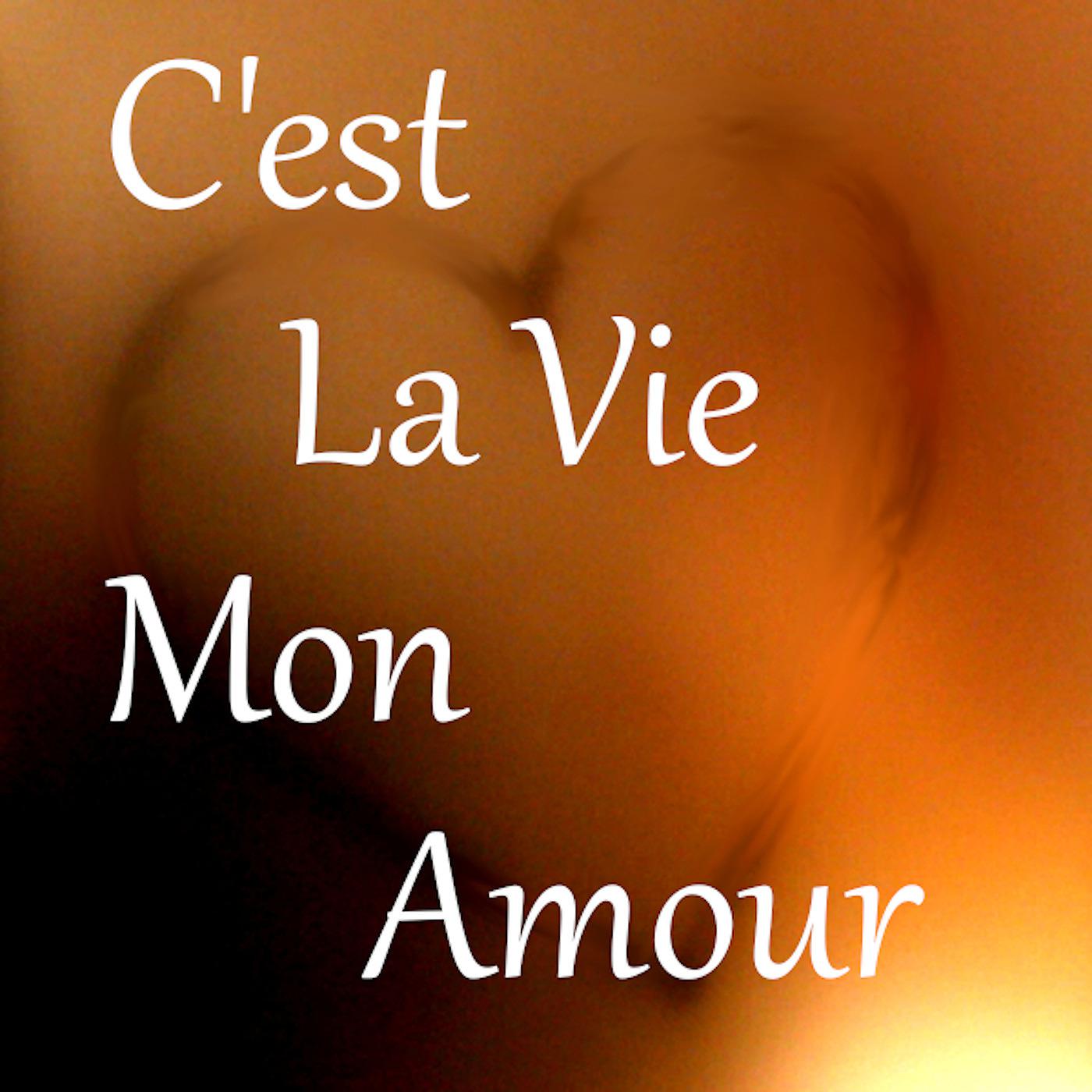 Постер альбома C'est La Vie Mon Amour