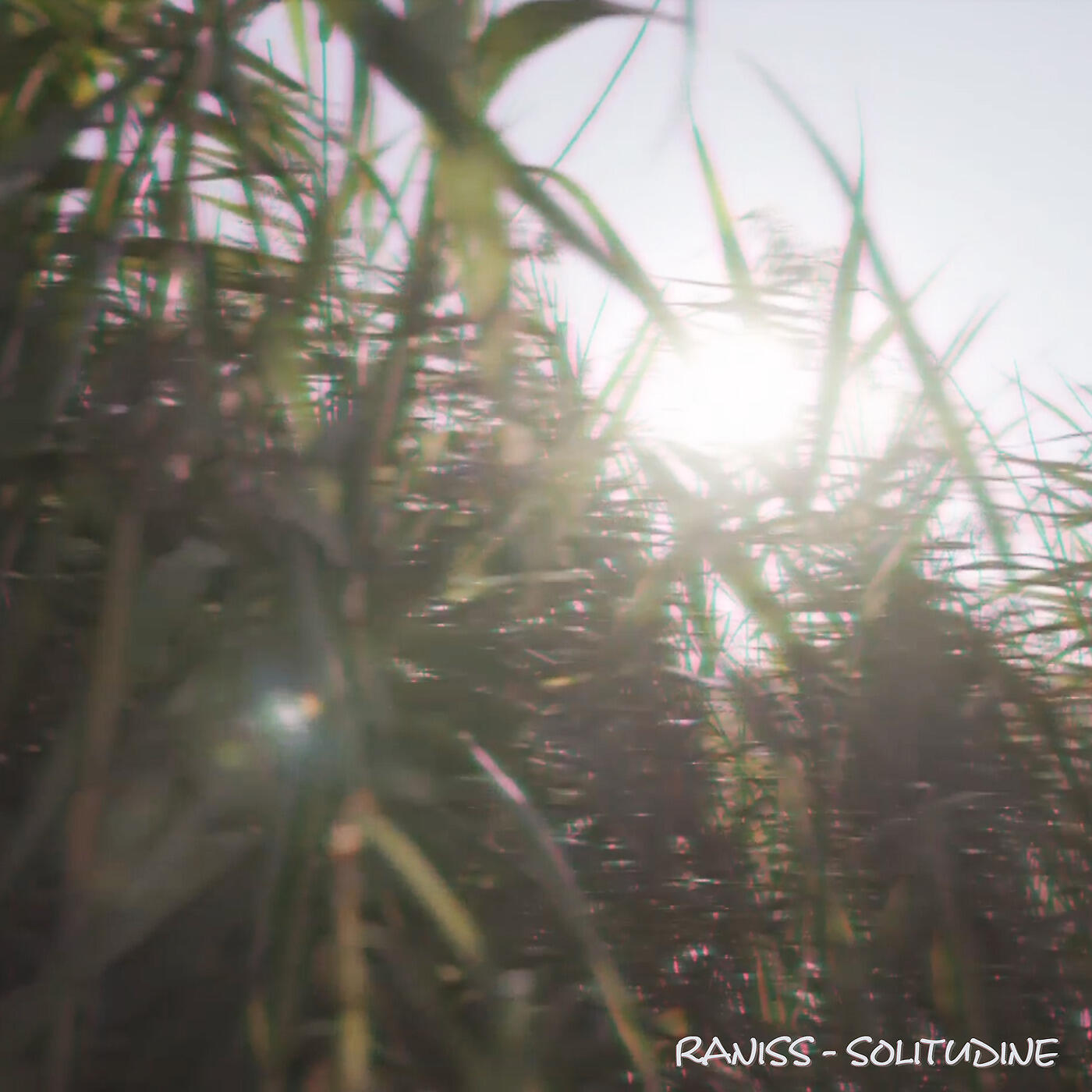Raniss - Solitudine