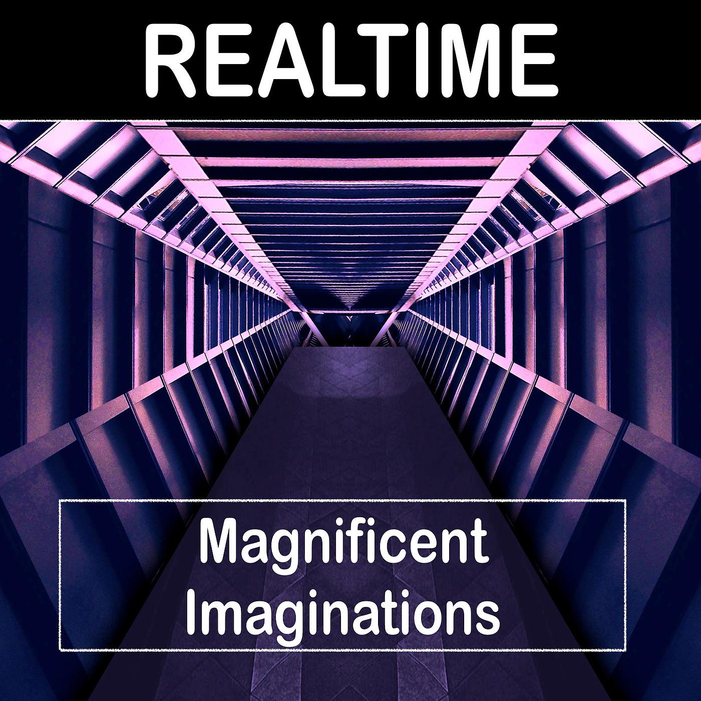 Постер альбома Magnificent Imaginations