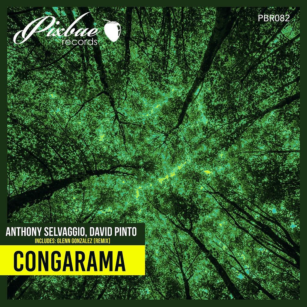 Anthony Selvaggio - Congarama (Glenn Gonzalez Remix)