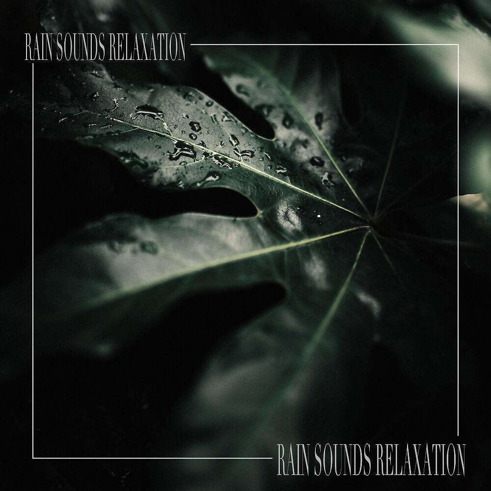 Rain Sounds Relaxation - Nature Collection