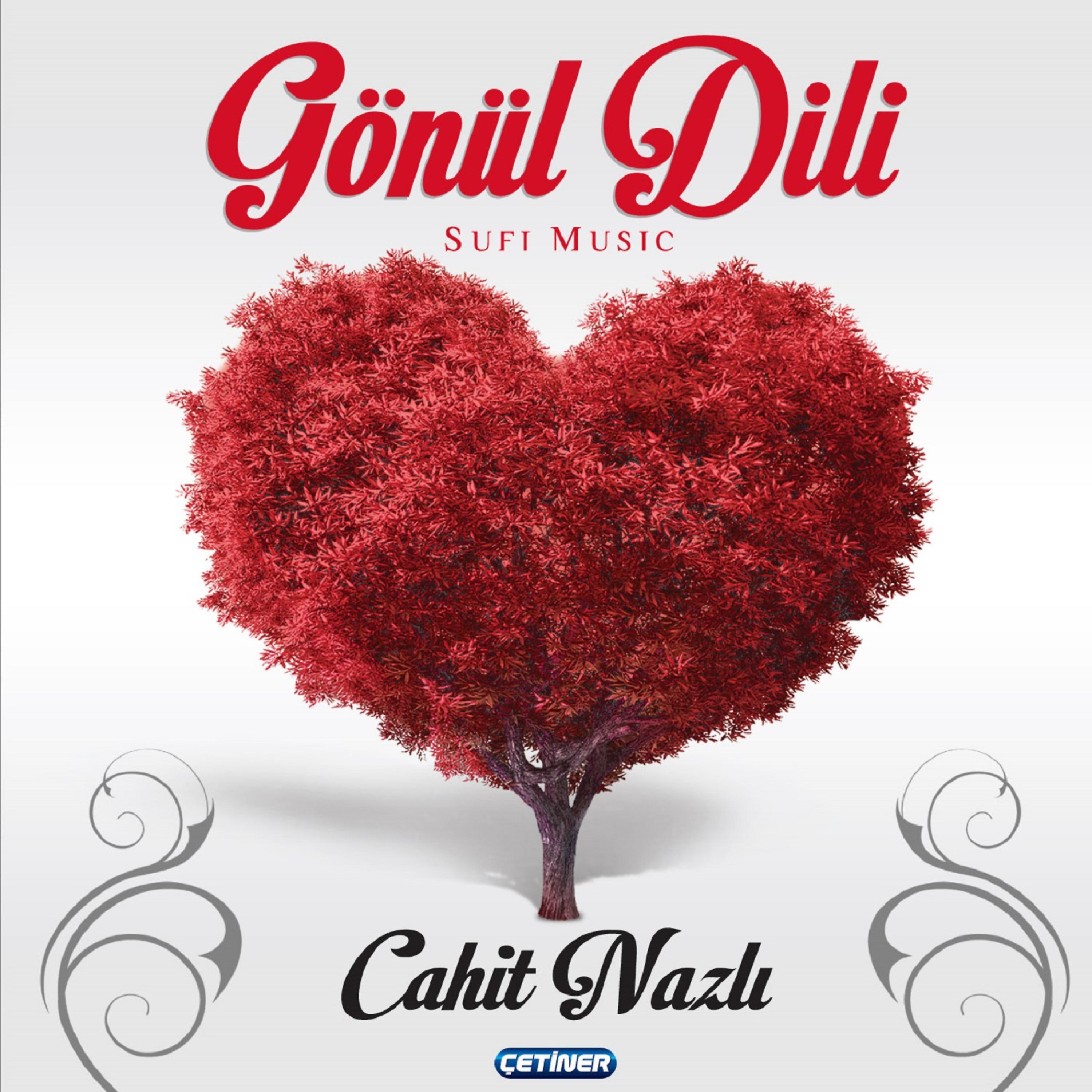 Постер альбома Gönül Dili