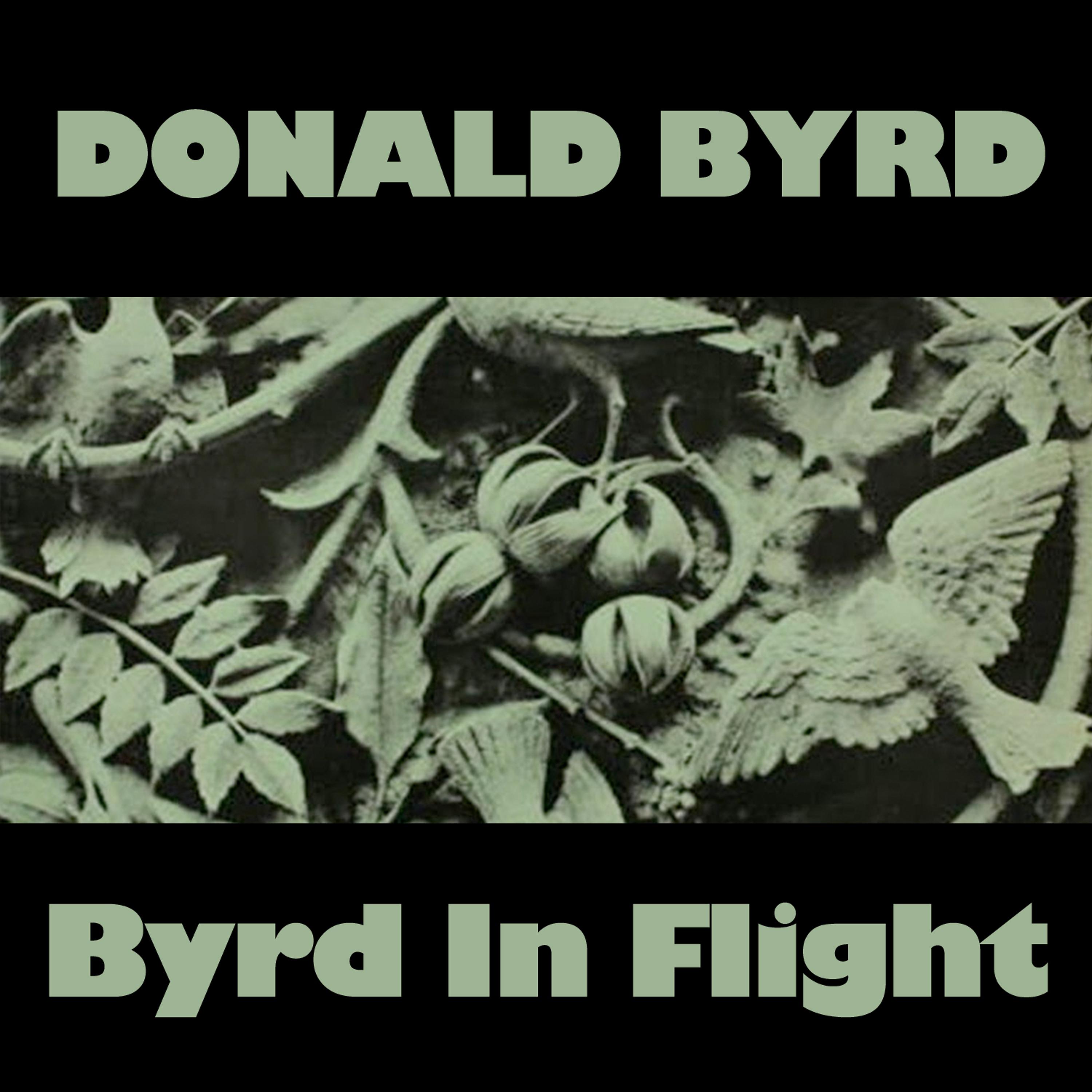 Постер альбома Byrd in Flight