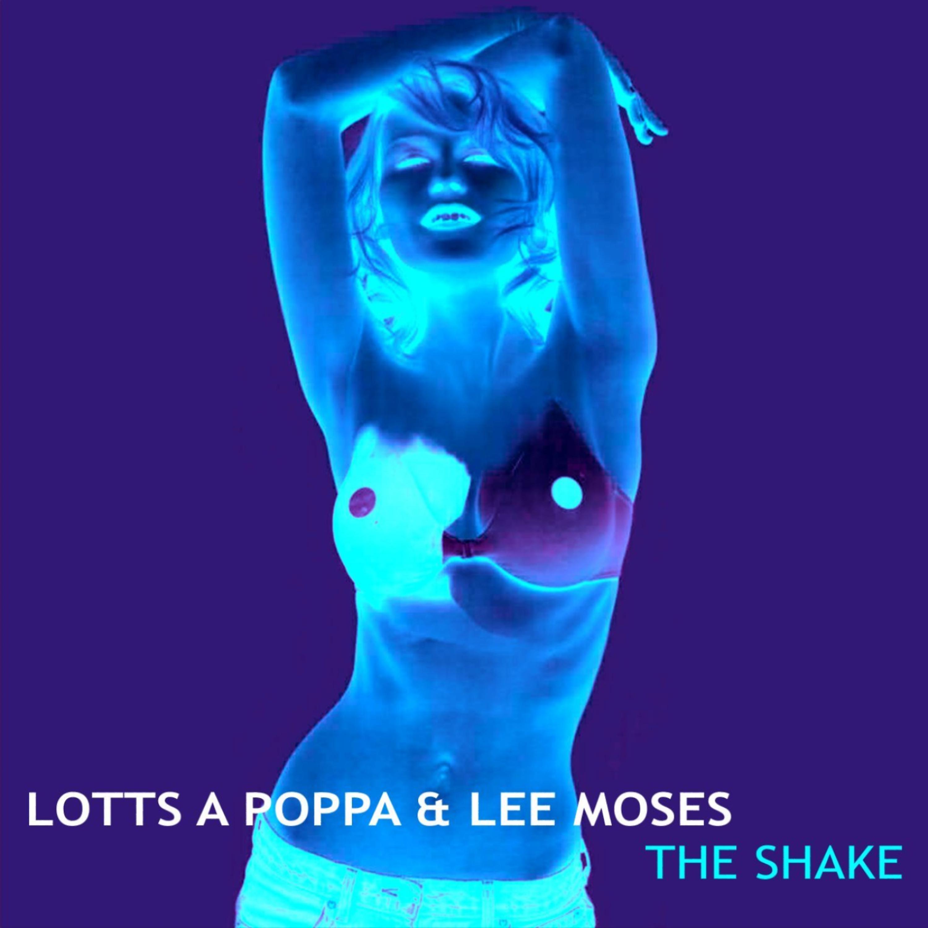 Постер альбома The Shake