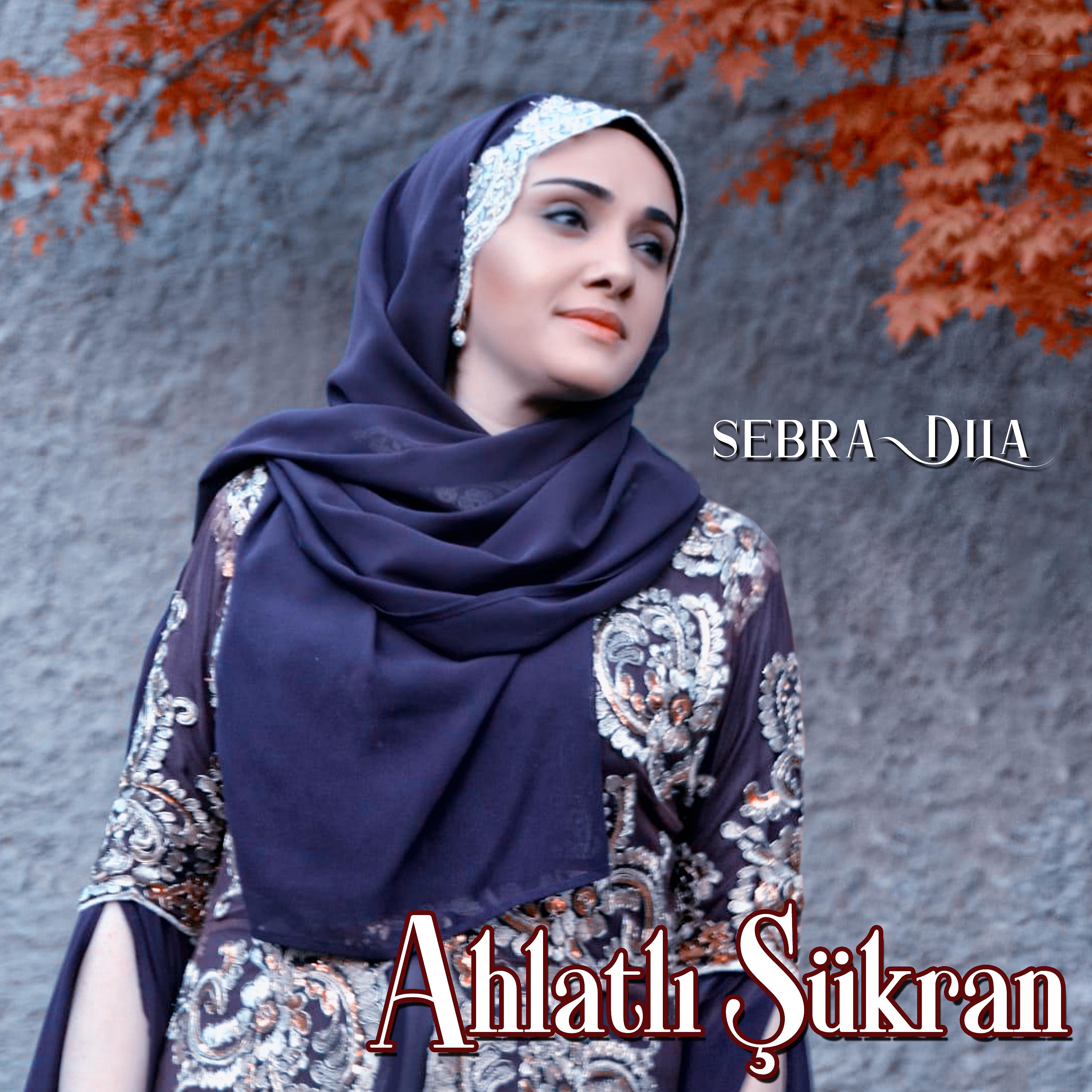 Постер альбома Sebra Dila