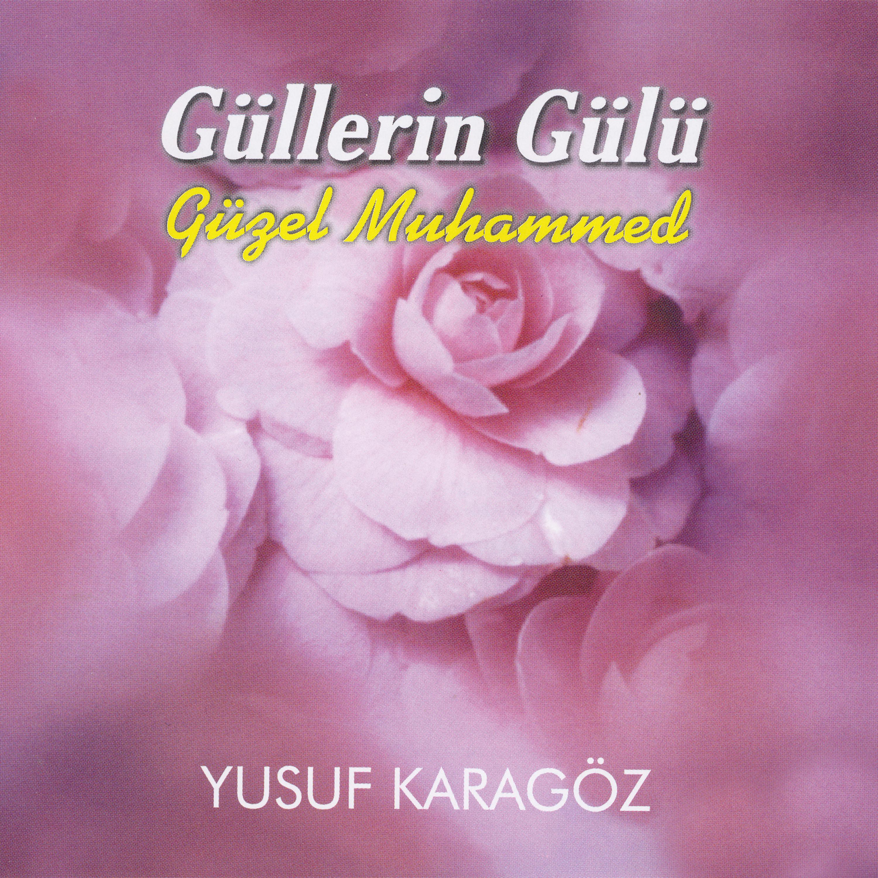 Постер альбома Güllerin Gülü