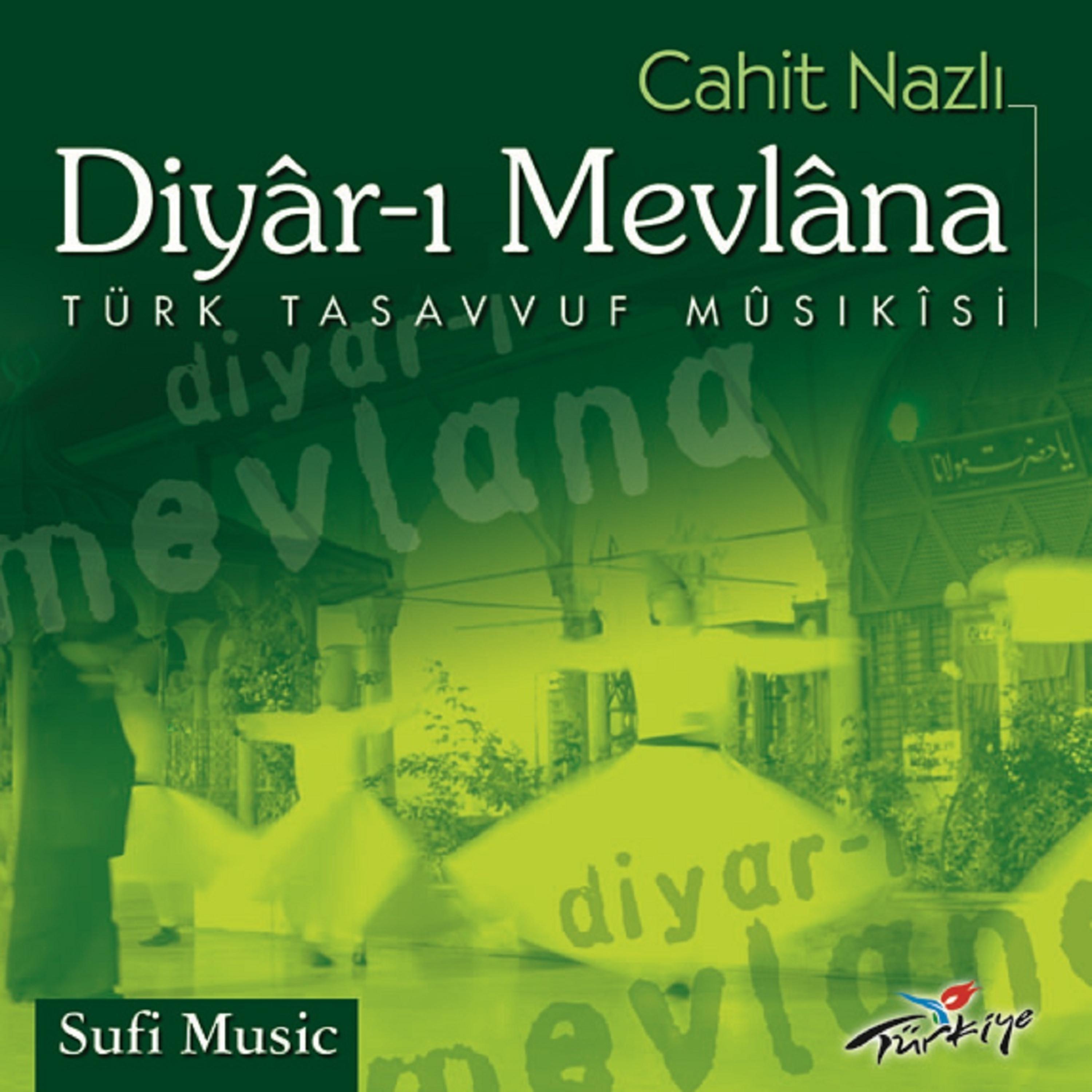 Постер альбома Diyar-ı Mevlâna (Türk Tasavvuf Musıkisi)