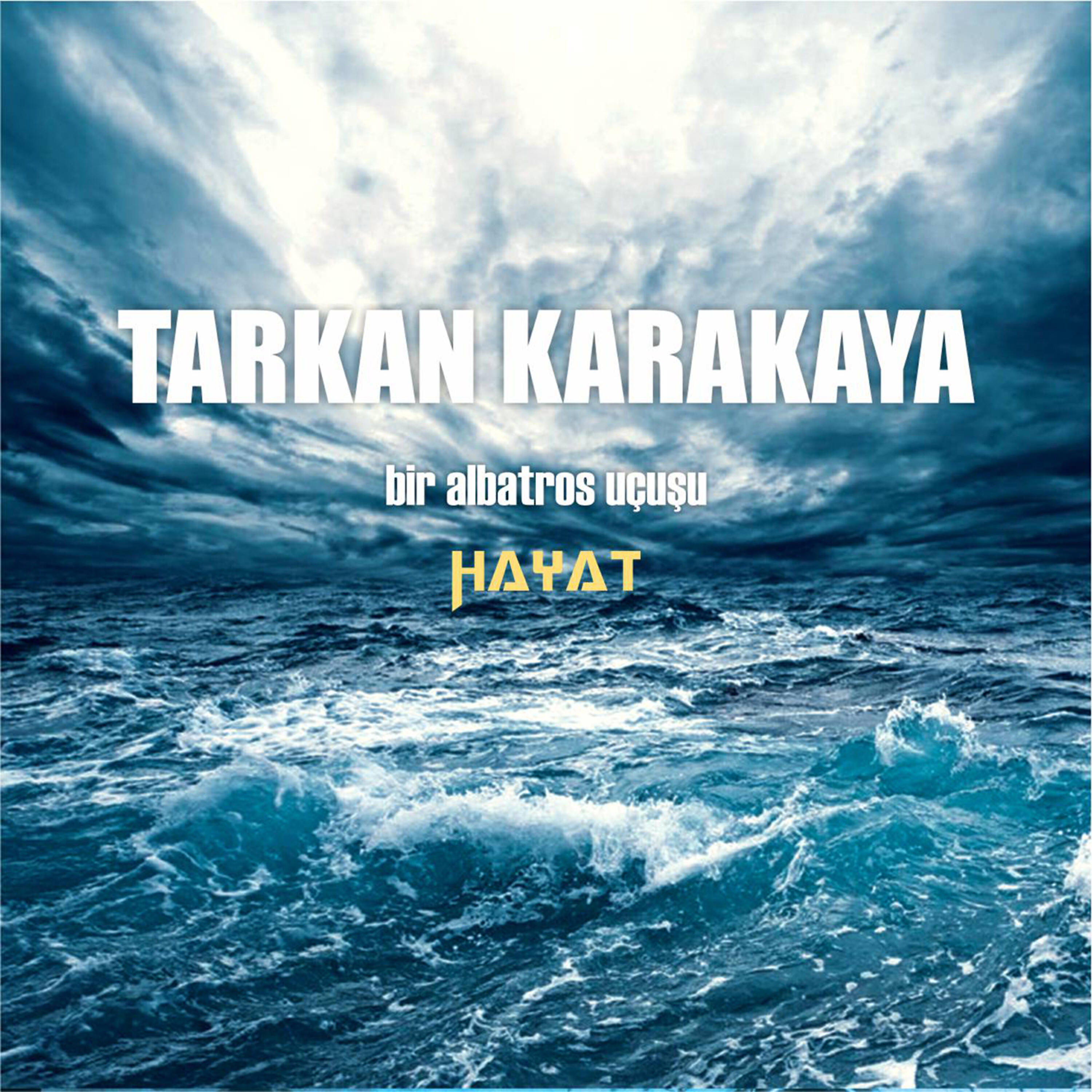 Tarkan Karakaya - Resmin Yanıbaşımda