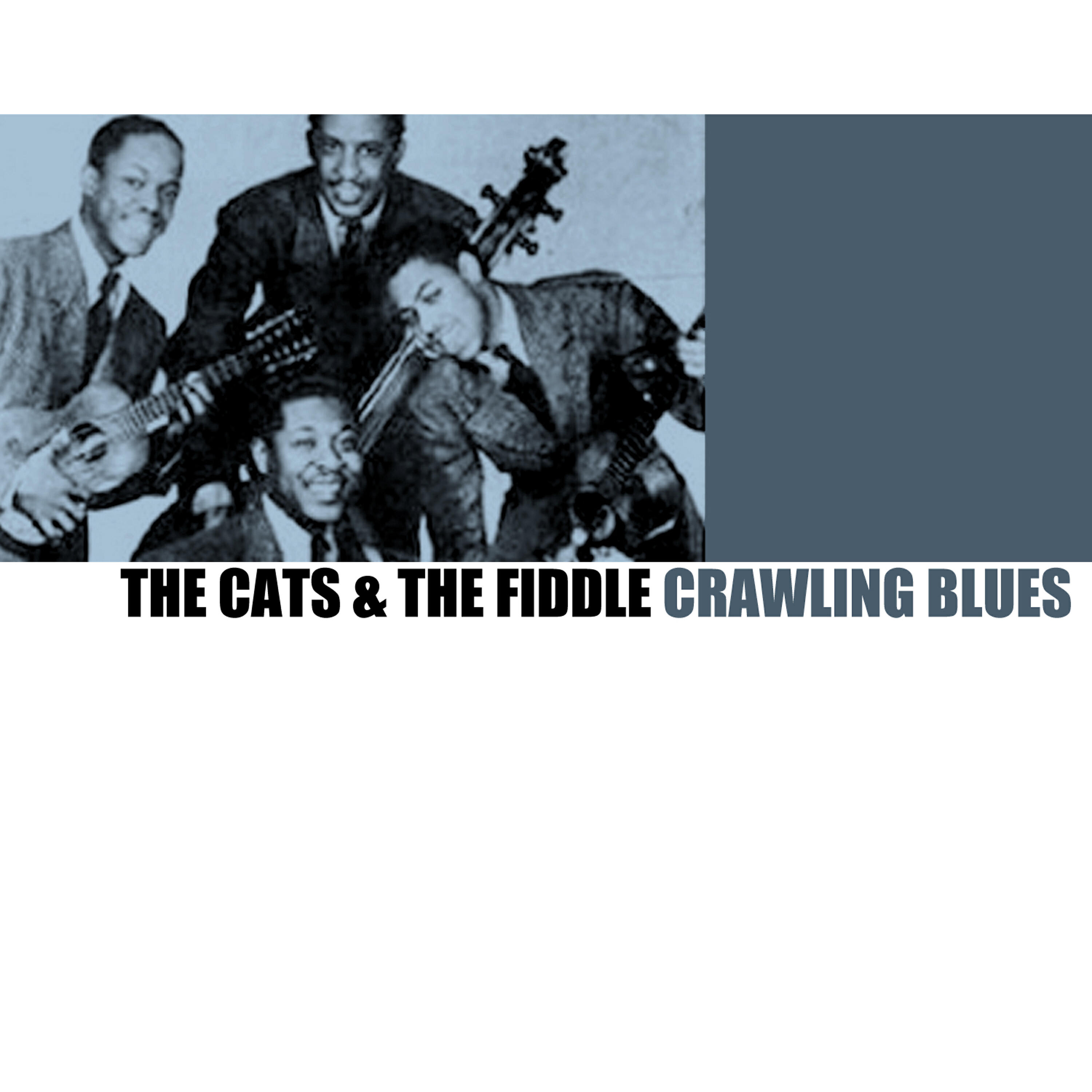 The Cats - That's What I Thought You Said