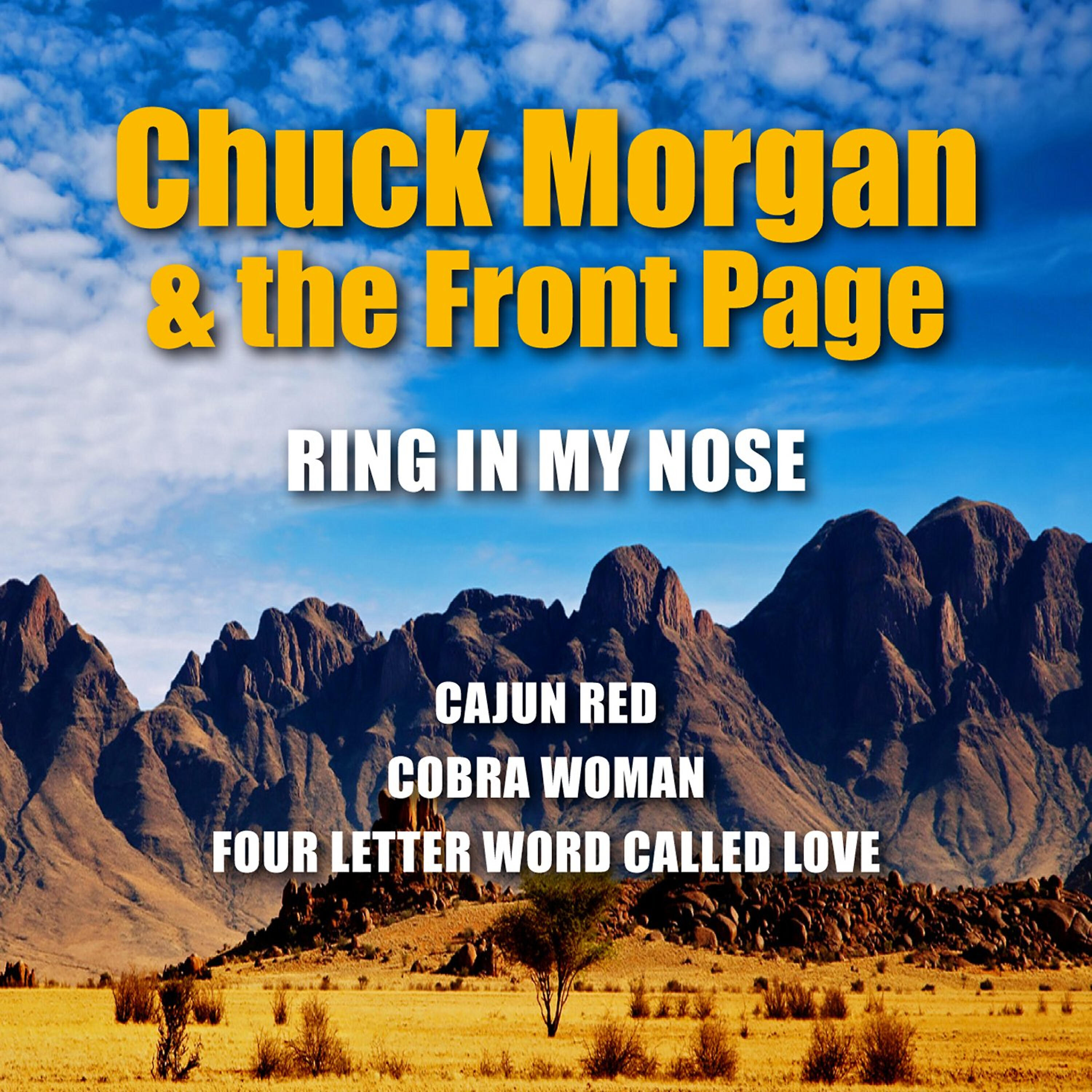 Chuck Morgan - This Light of Mine