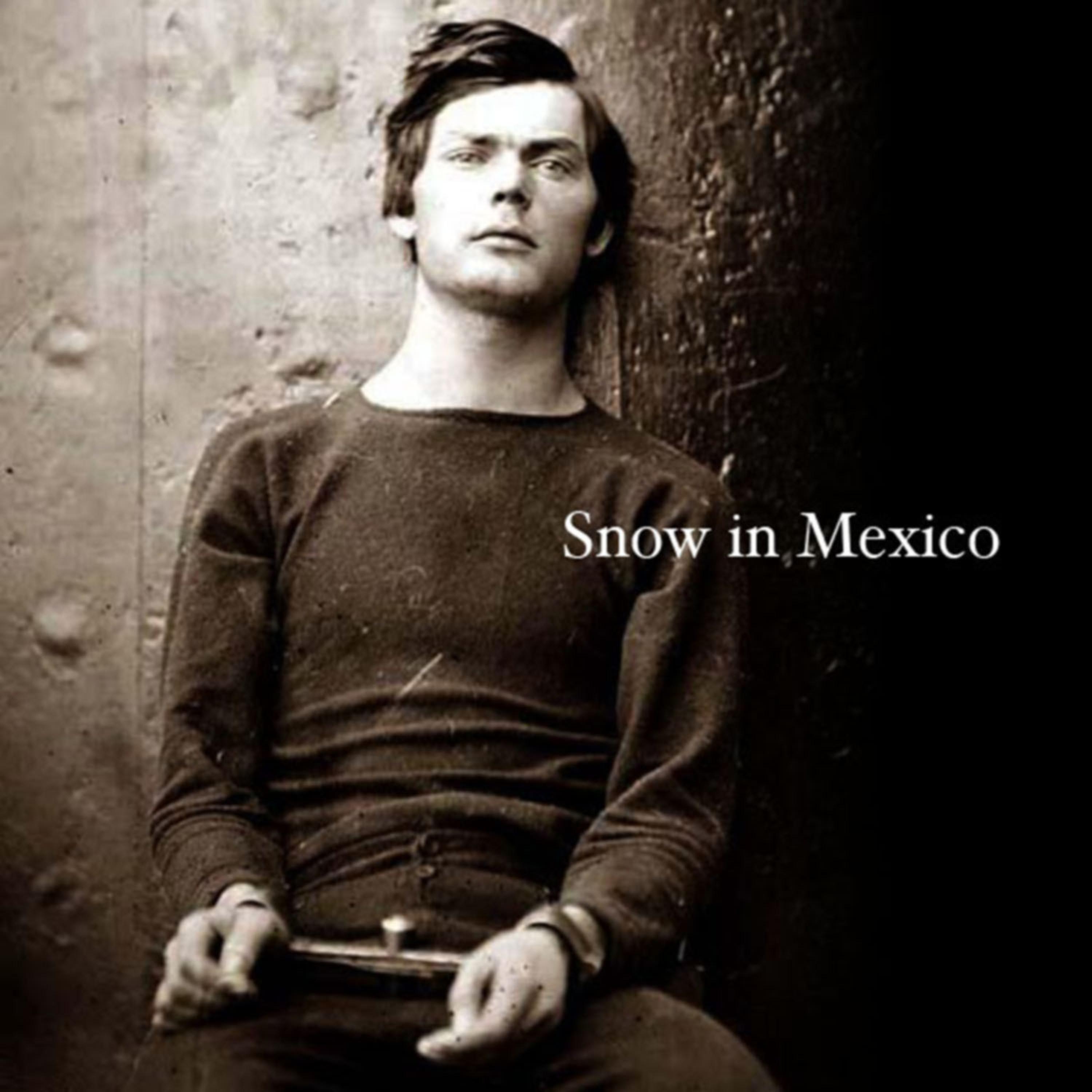 Постер альбома Snow in Mexico