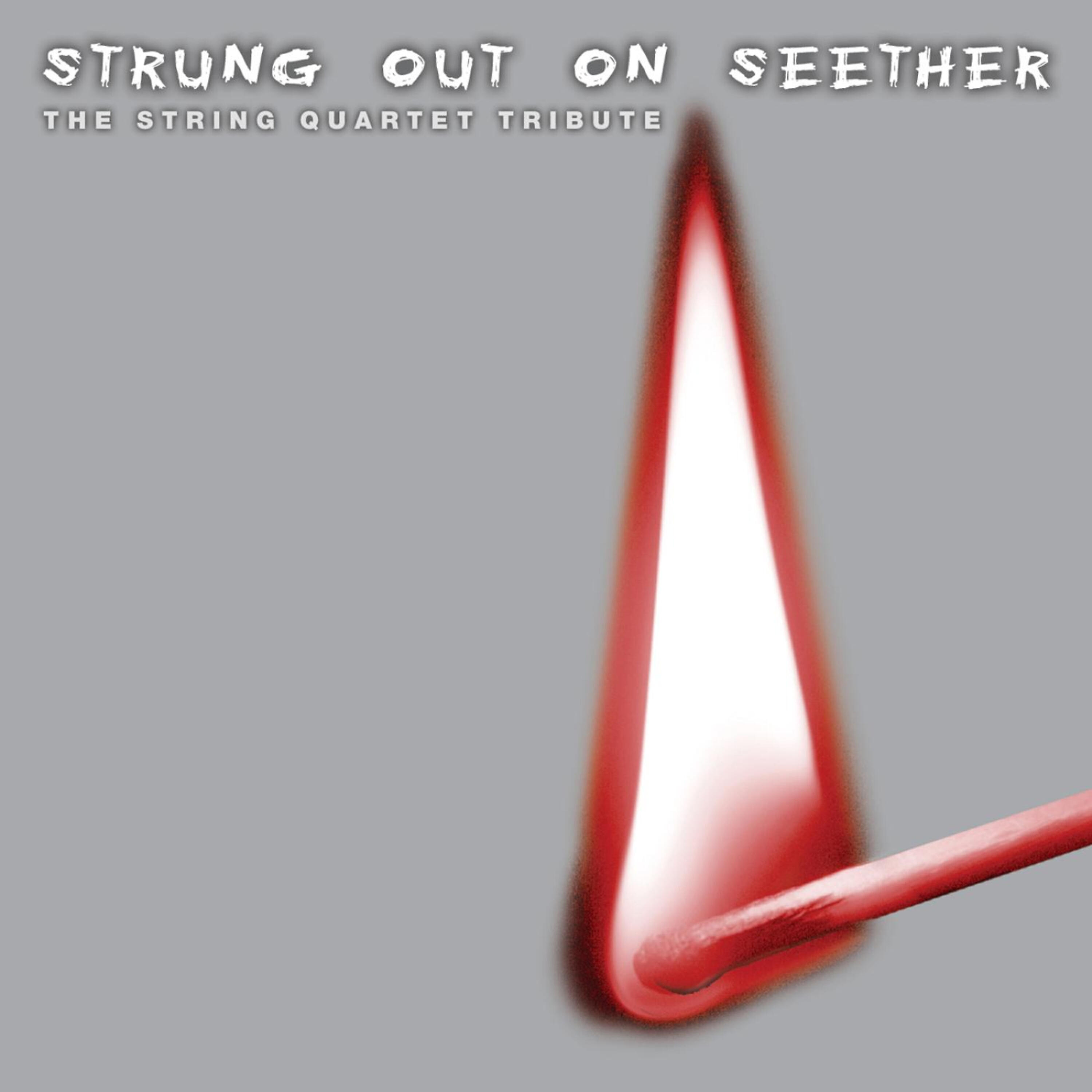 Vitamin String Quartet - Burrito