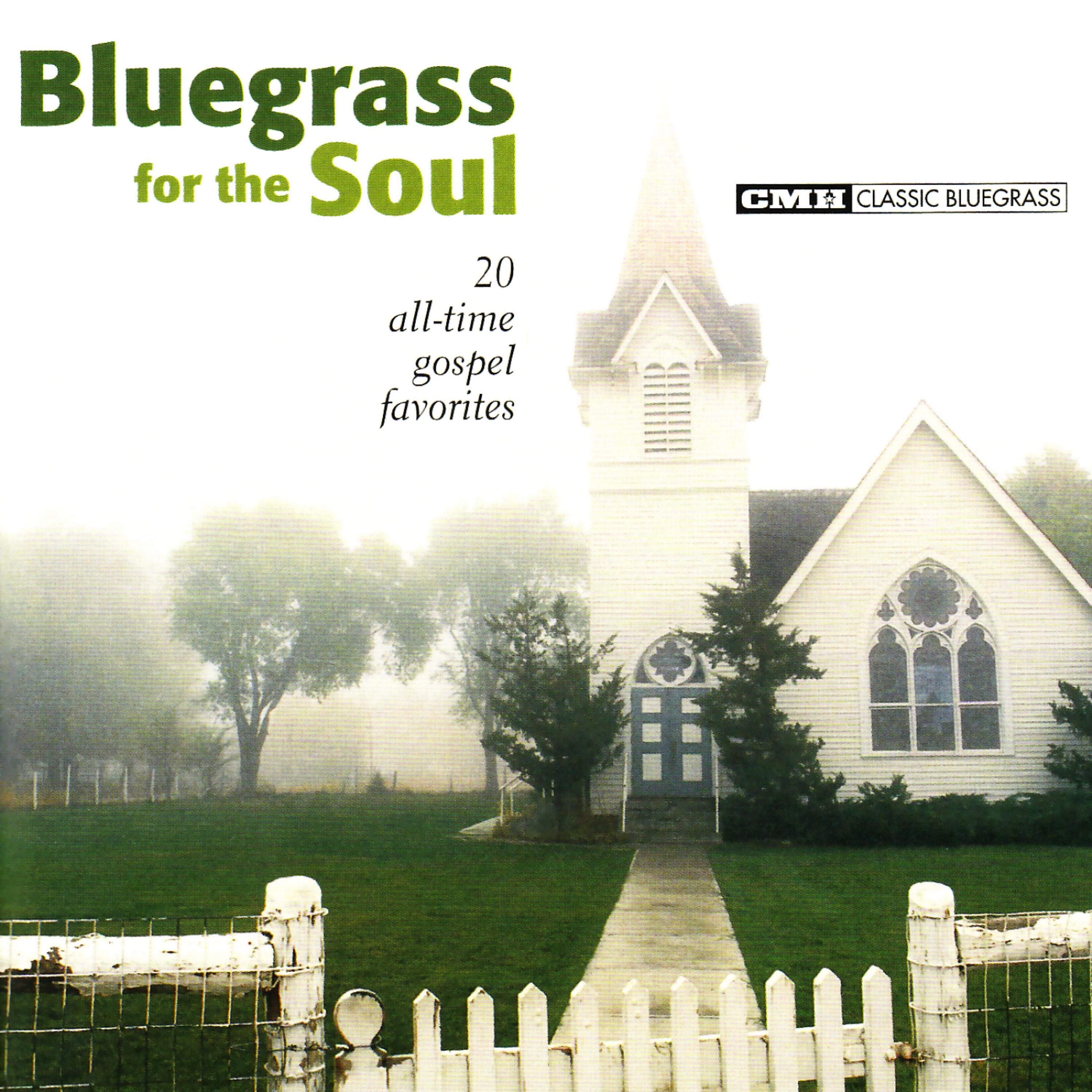 Постер альбома Bluegrass for the Soul