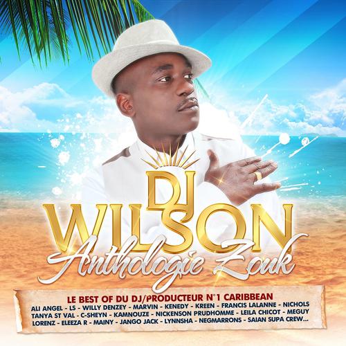 Постер альбома Le Best of du DJ producteur No. 1 Caribbean DJ Wilson (Anthologie Zouk 48 Hits)