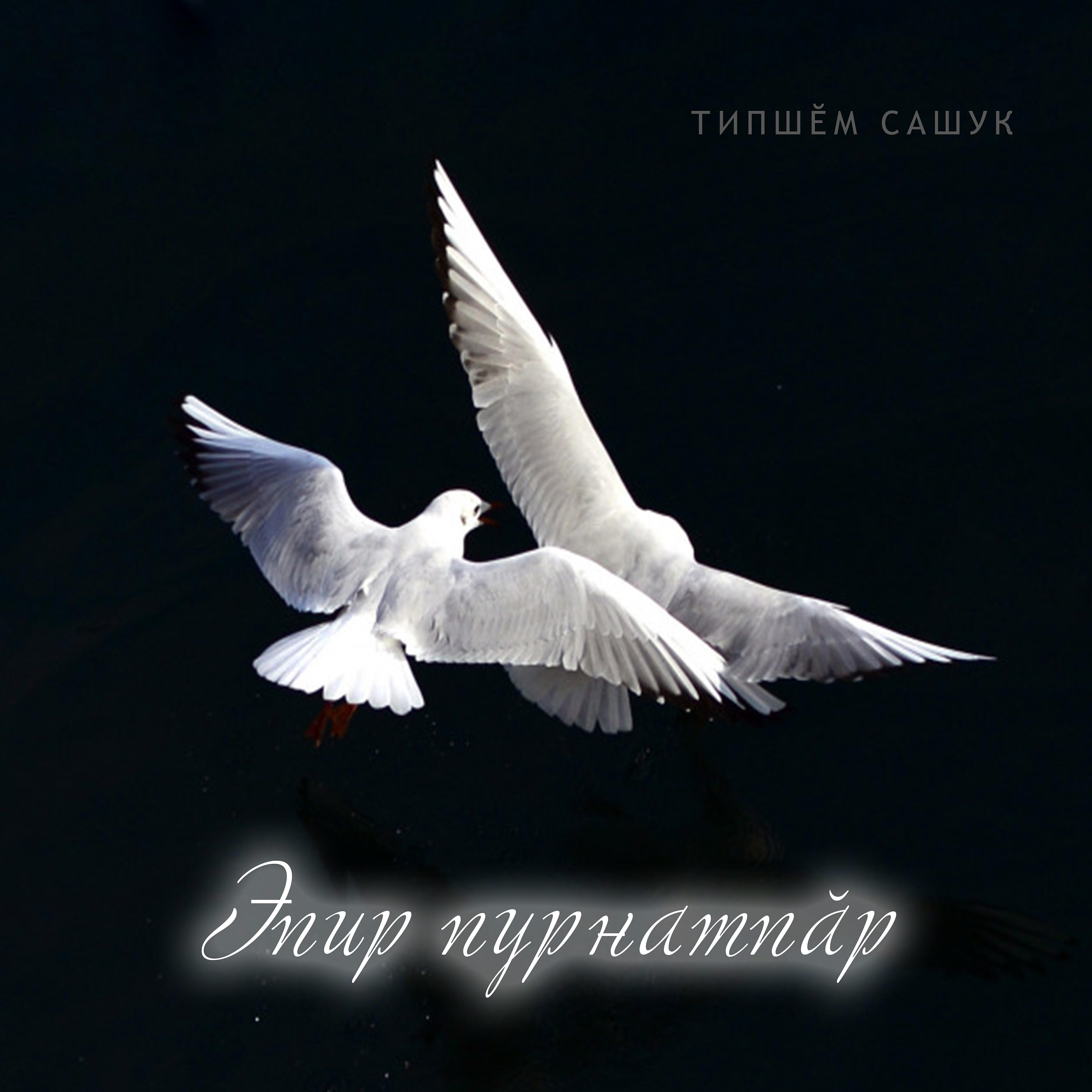 Типшем Сашук - Эпир пурнатпăр