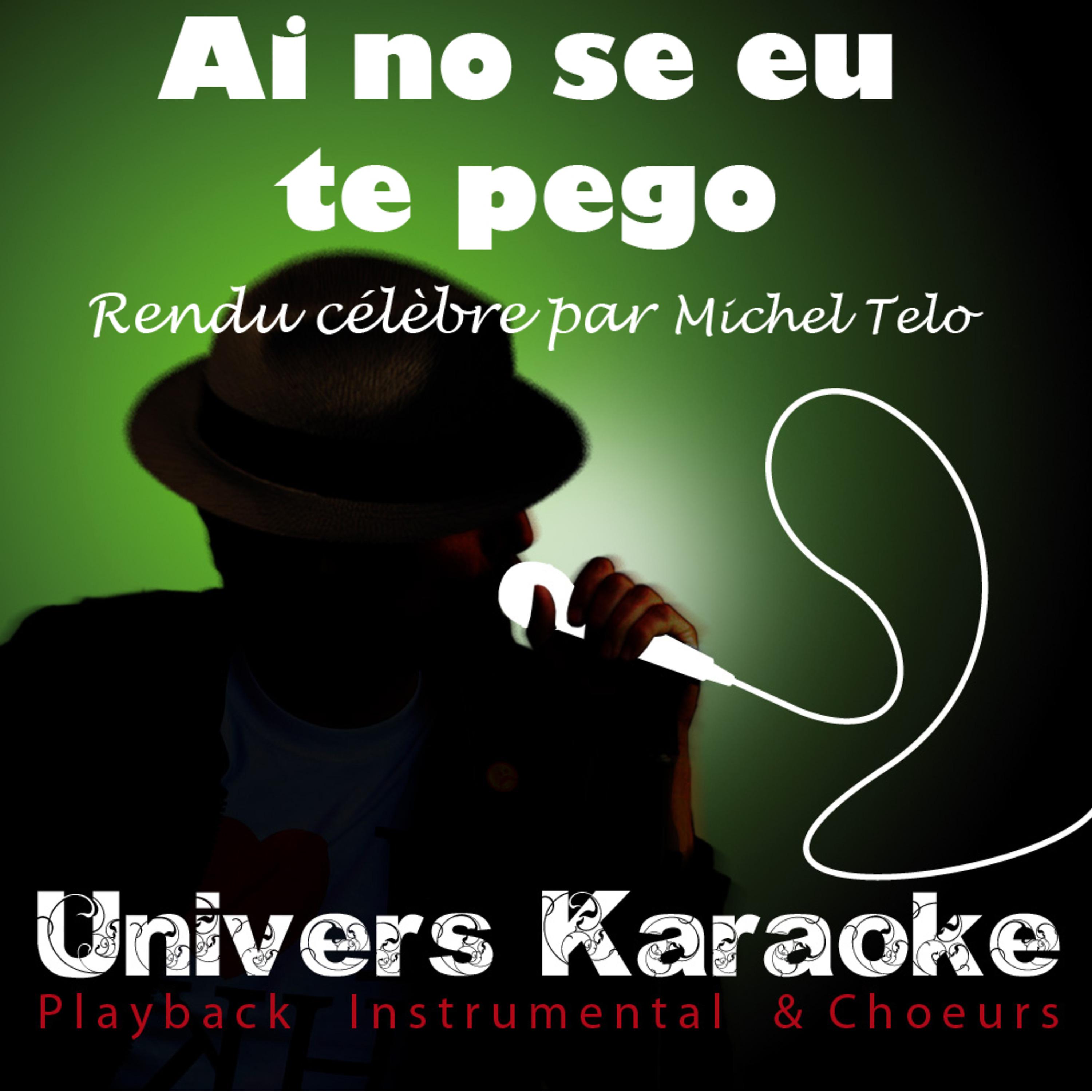 Постер альбома Ai Se Eu Te Pego (Live) [Rendu célèbre par Michel Teló] {Version karaoké} - Single