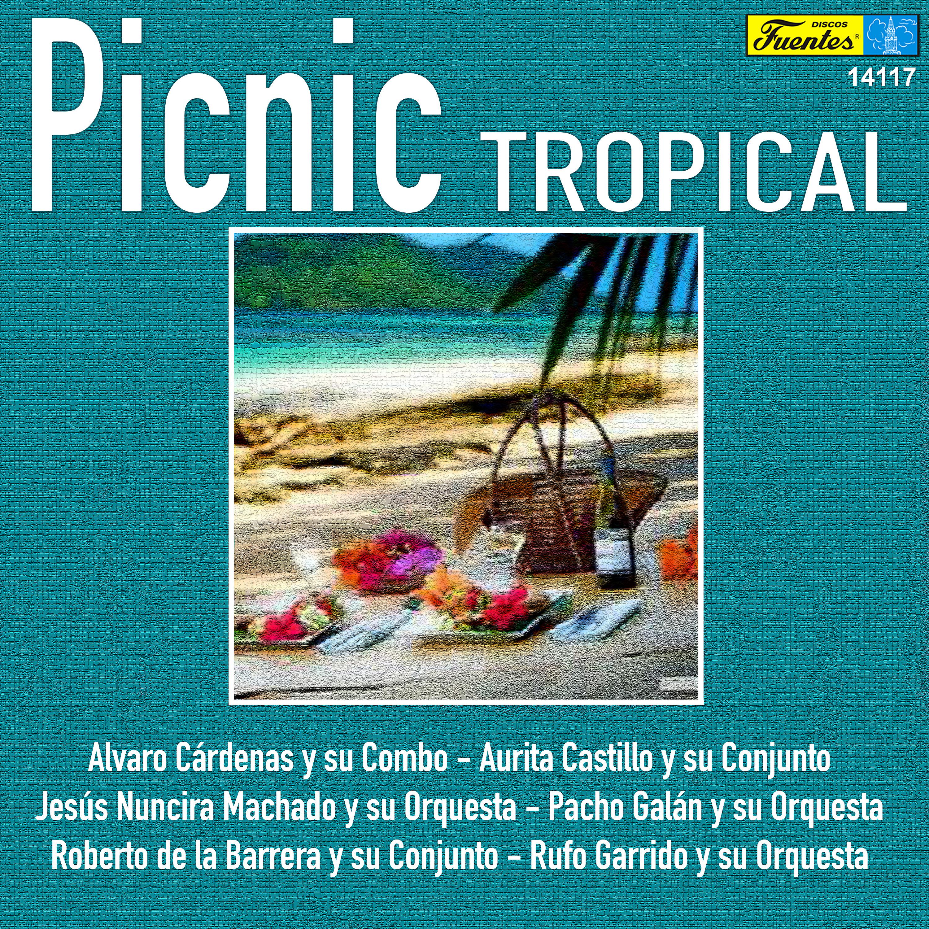 Постер альбома Picnic Tropical 1